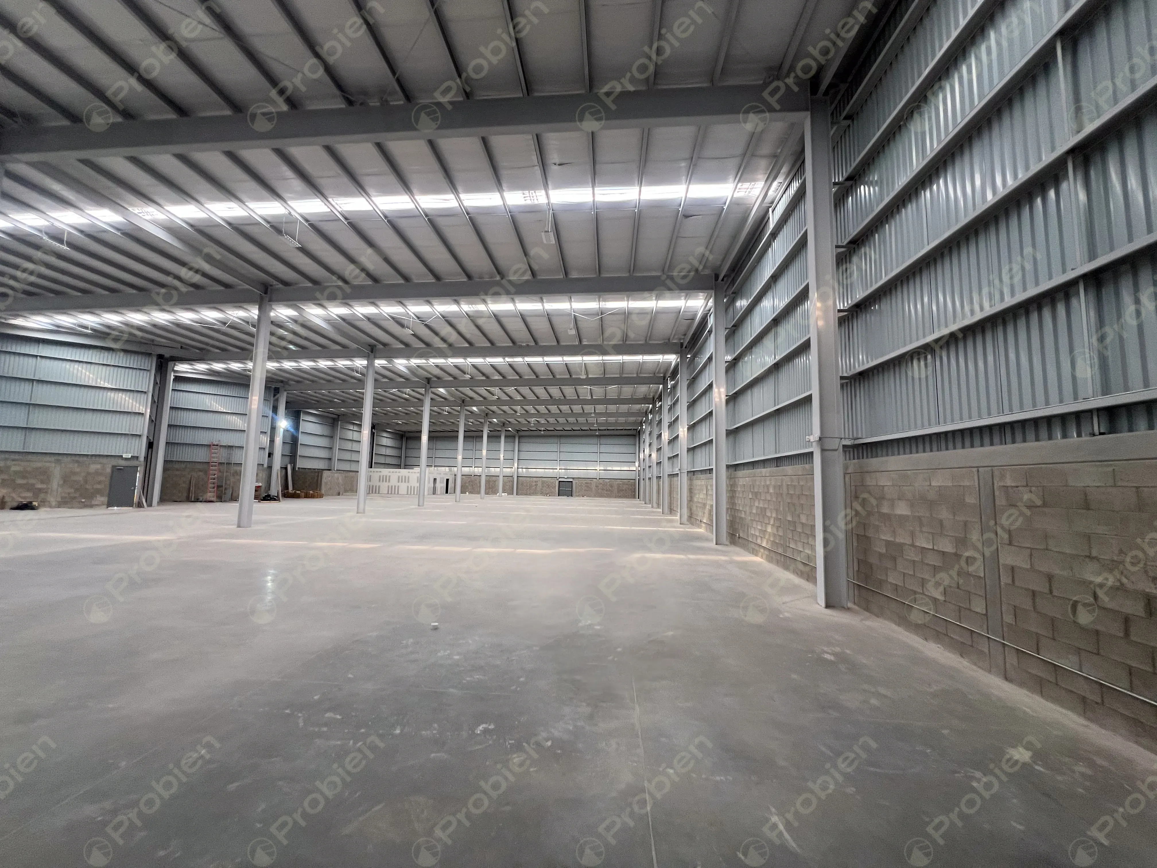 Nave industrial en Renta con conectividad hacia Libramiento Sur - Foto 8 de 16