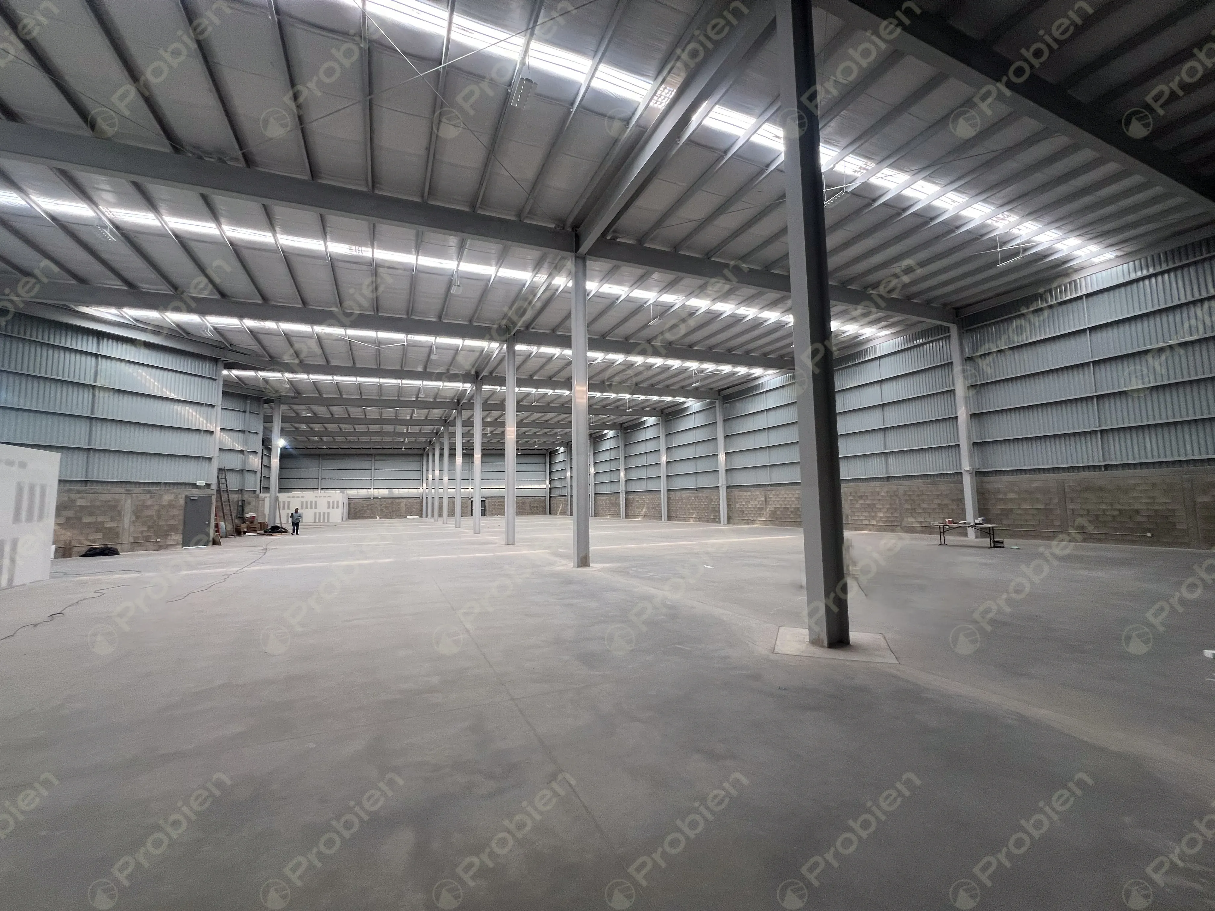 Nave industrial en Renta con conectividad hacia Libramiento Sur - Foto 9 de 16