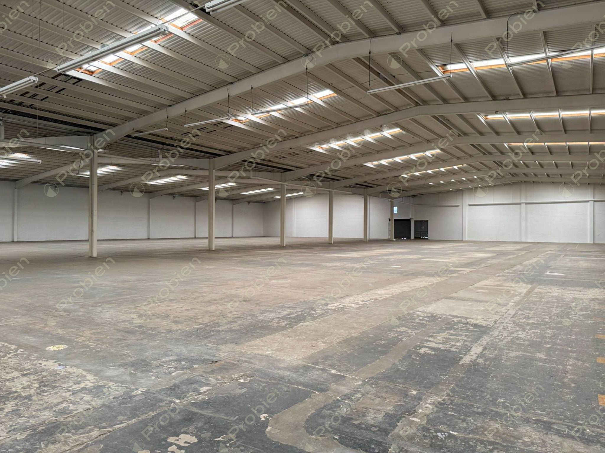 Nave Industrial en Renta de 3,826.74 m² en Blvd. Insurgentes – Ubicación Estratégica y Gran Conectividad - Foto 3 de 12