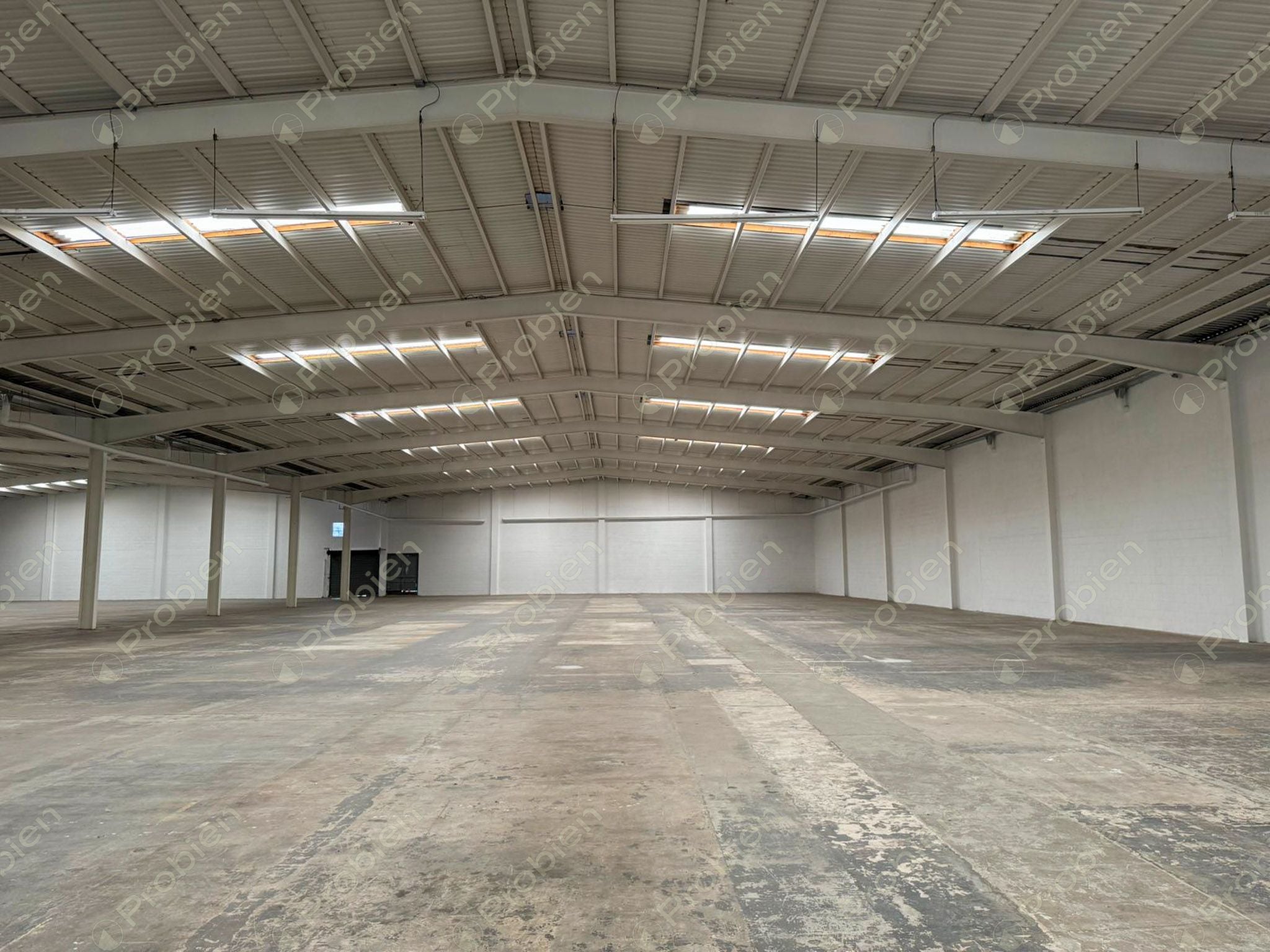 Nave Industrial en Renta de 3,826.74 m² en Blvd. Insurgentes – Ubicación Estratégica y Gran Conectividad - Foto 4 de 12