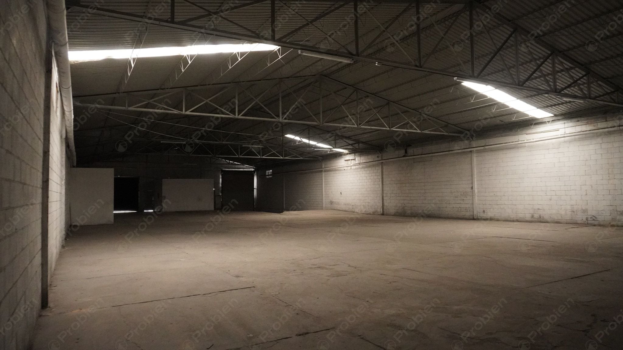 Bodega en renta - Entre Vía rápida y Blvd. Benítez Uno - Foto 5 de 7