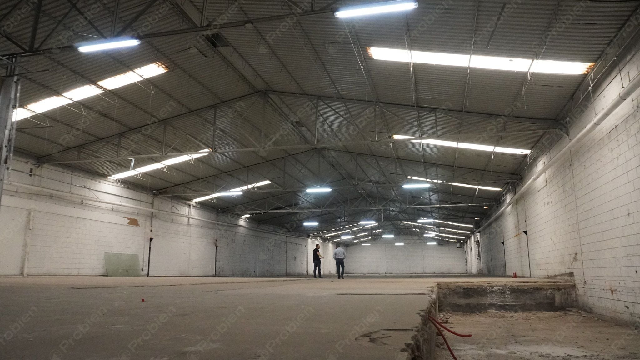 Bodega en renta -  Vía rápida y Blvd. Benítez Dos - Foto 7 de 11