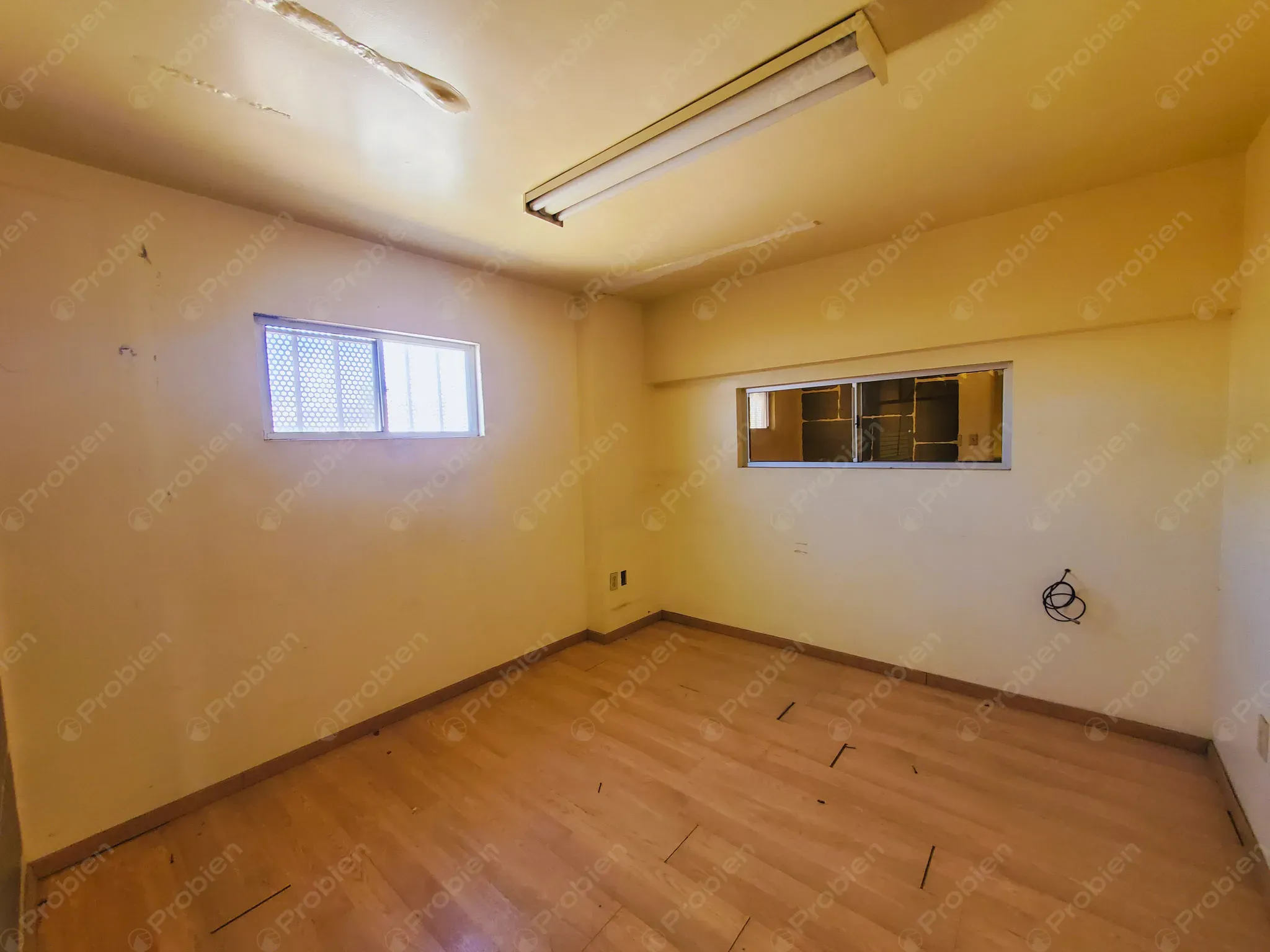 Terreno Comercial con local en renta - Alba roja - Foto 13 de 16