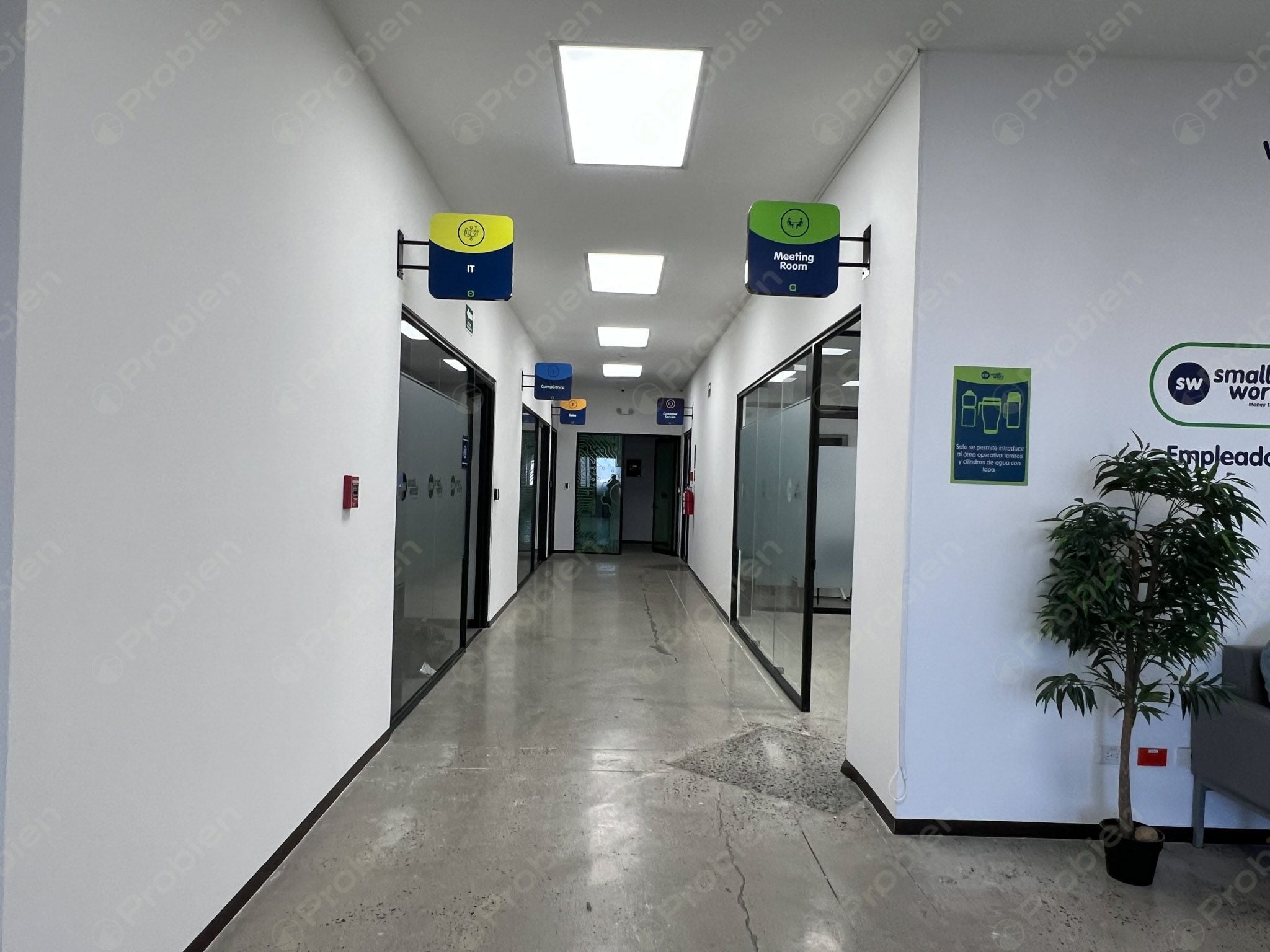 Oficina en Renta Coworking 59.44 m² - En Plaza Alameda Otay - Foto 6 de 10