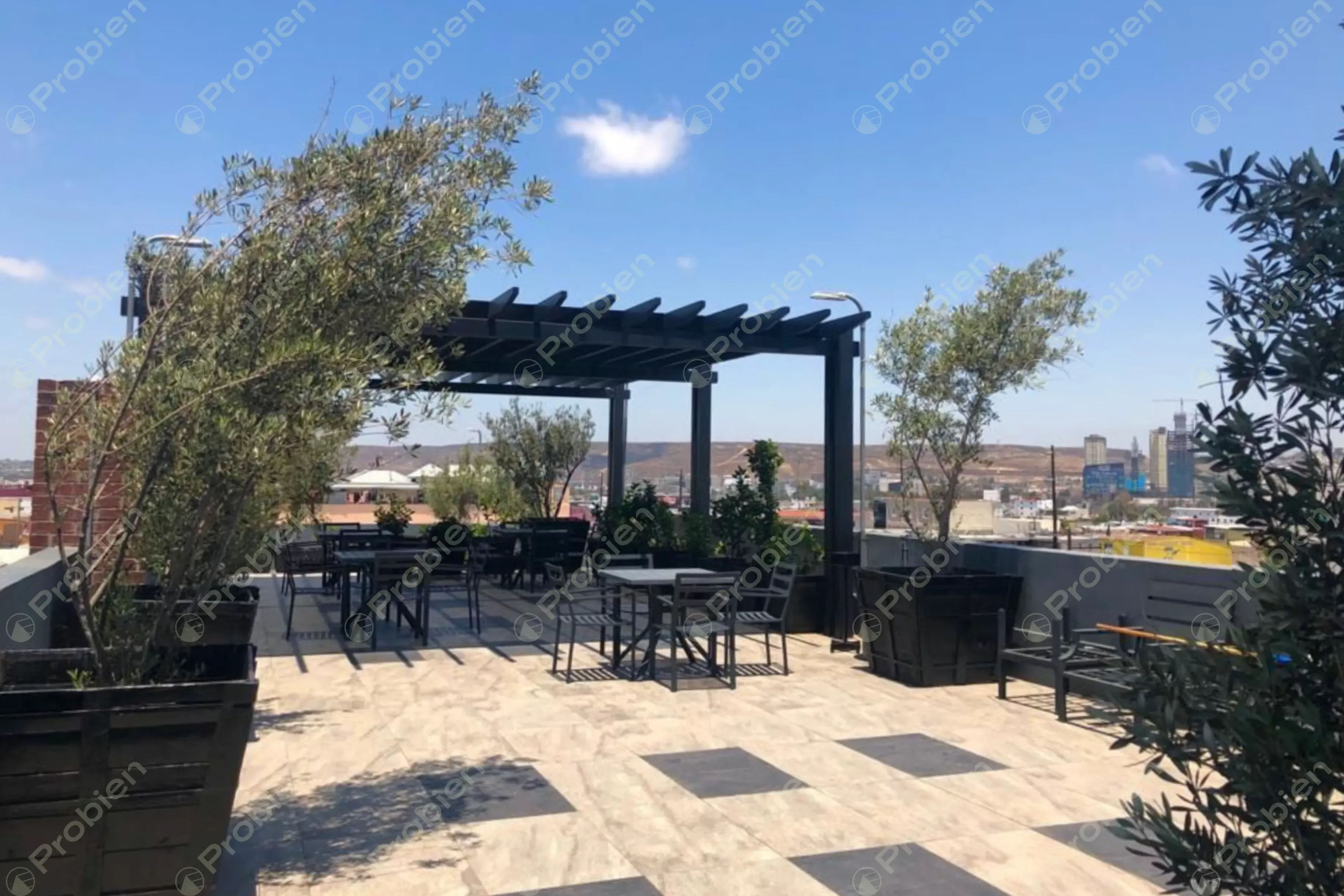 Oficinas en Renta - En Zona Centro - Foto 3 de 27