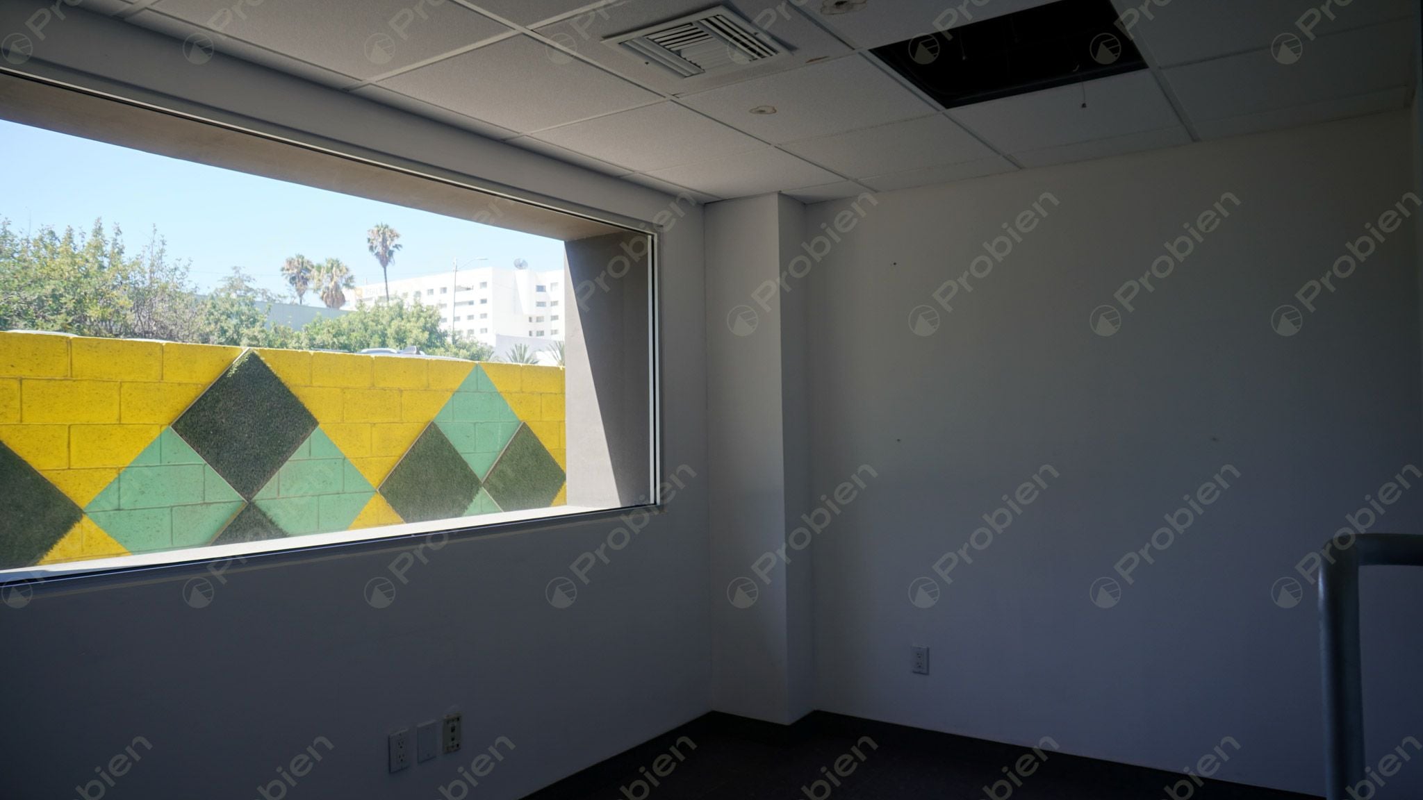 Local Comercial en Renta - En Zona Rio - Foto 6 de 23