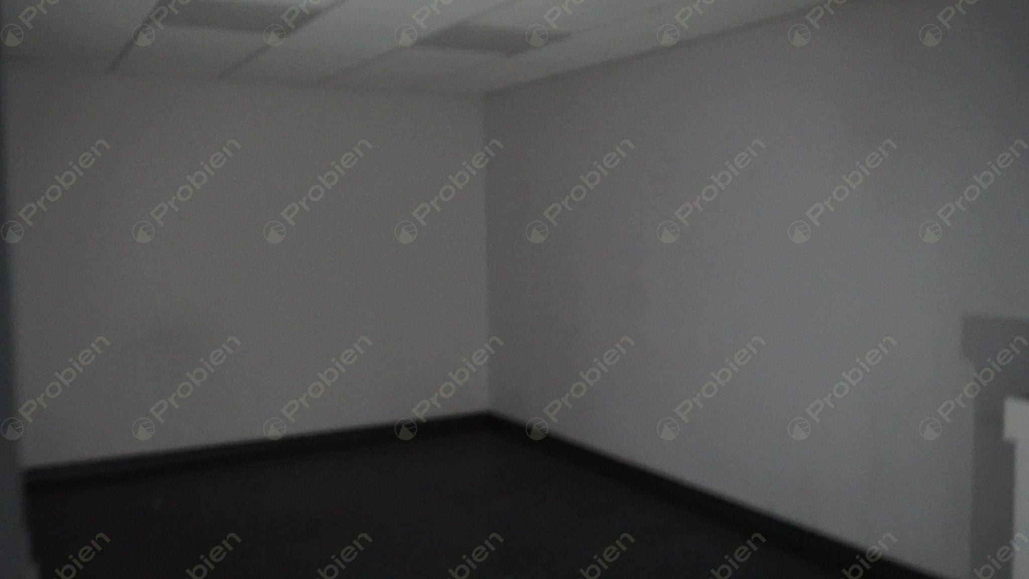 Local Comercial en Renta - En Zona Rio - Foto 9 de 23