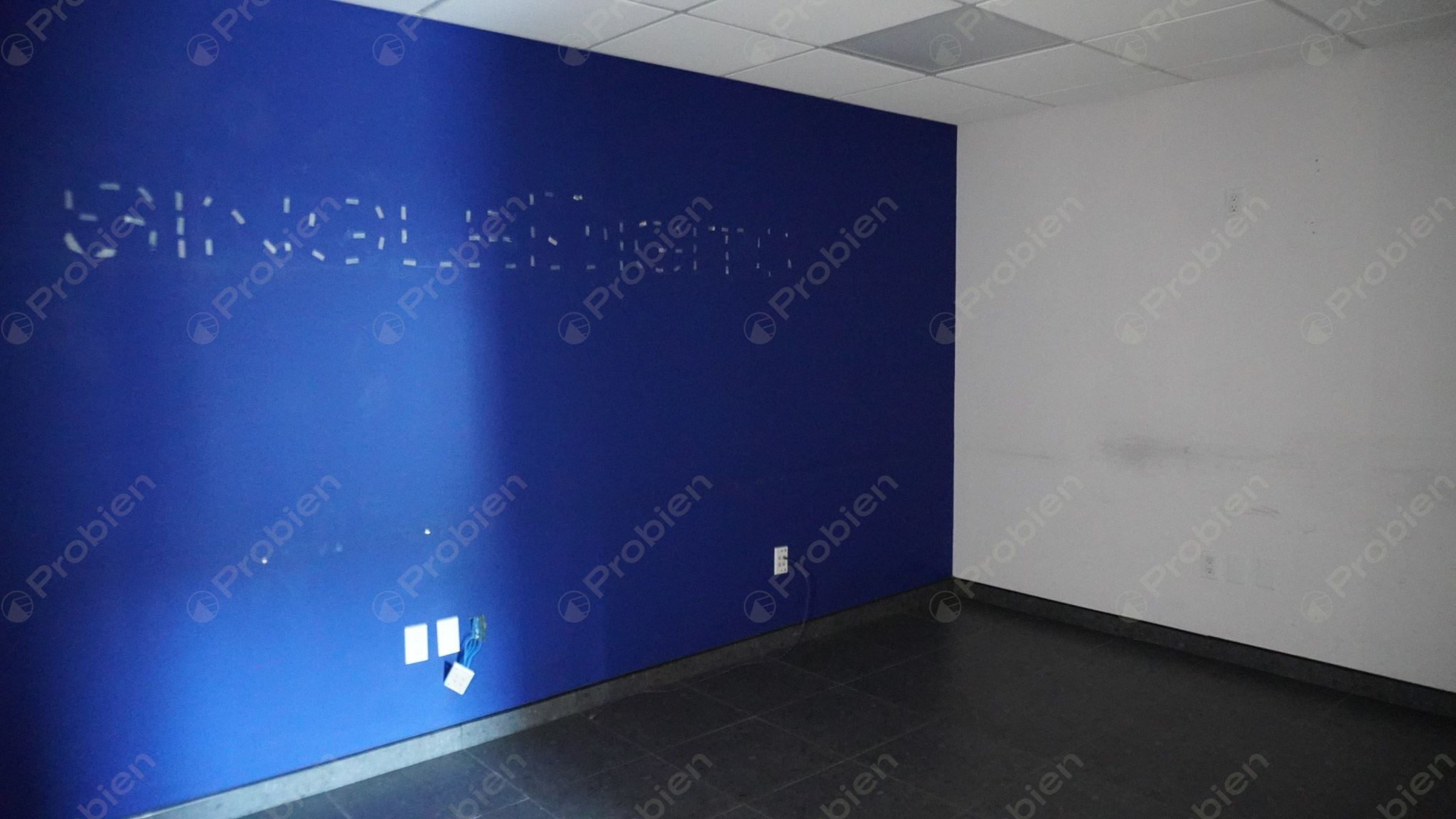 Local Comercial en Renta - En Zona Rio - Foto 18 de 23