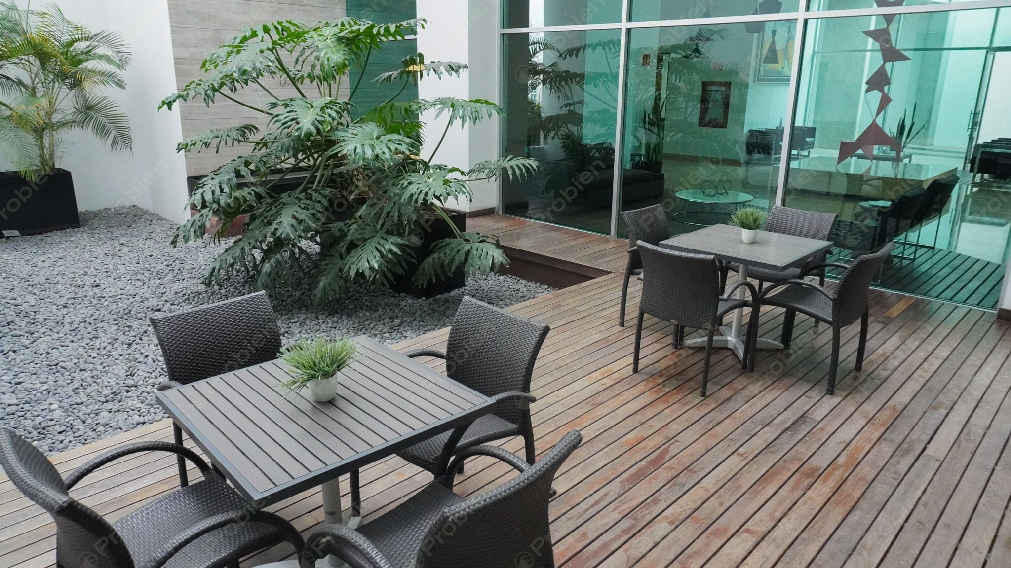 Departamento en Renta / Venta  - Horizonte Chapultepec - Foto 23 de 28