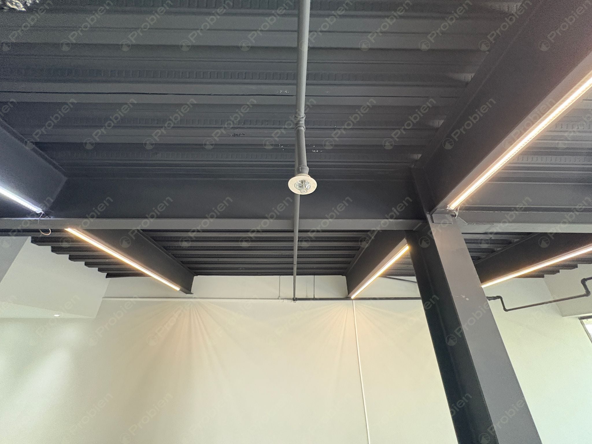 Oficina Penthouse en Renta en Zona Río – Torre MOL con Terraza y Vista Panorámica - Foto 11 de 18