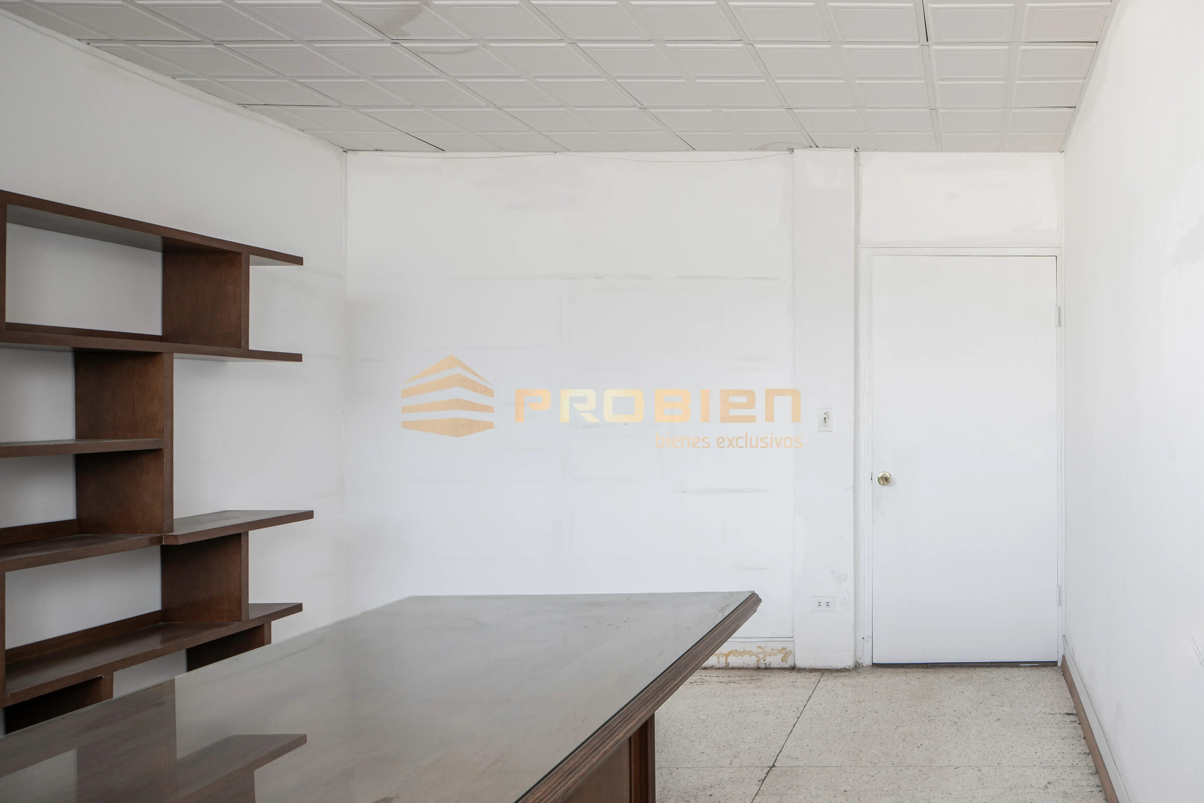 Oficina en Renta - Zona Centro Calle 6ta - Foto 3 de 8