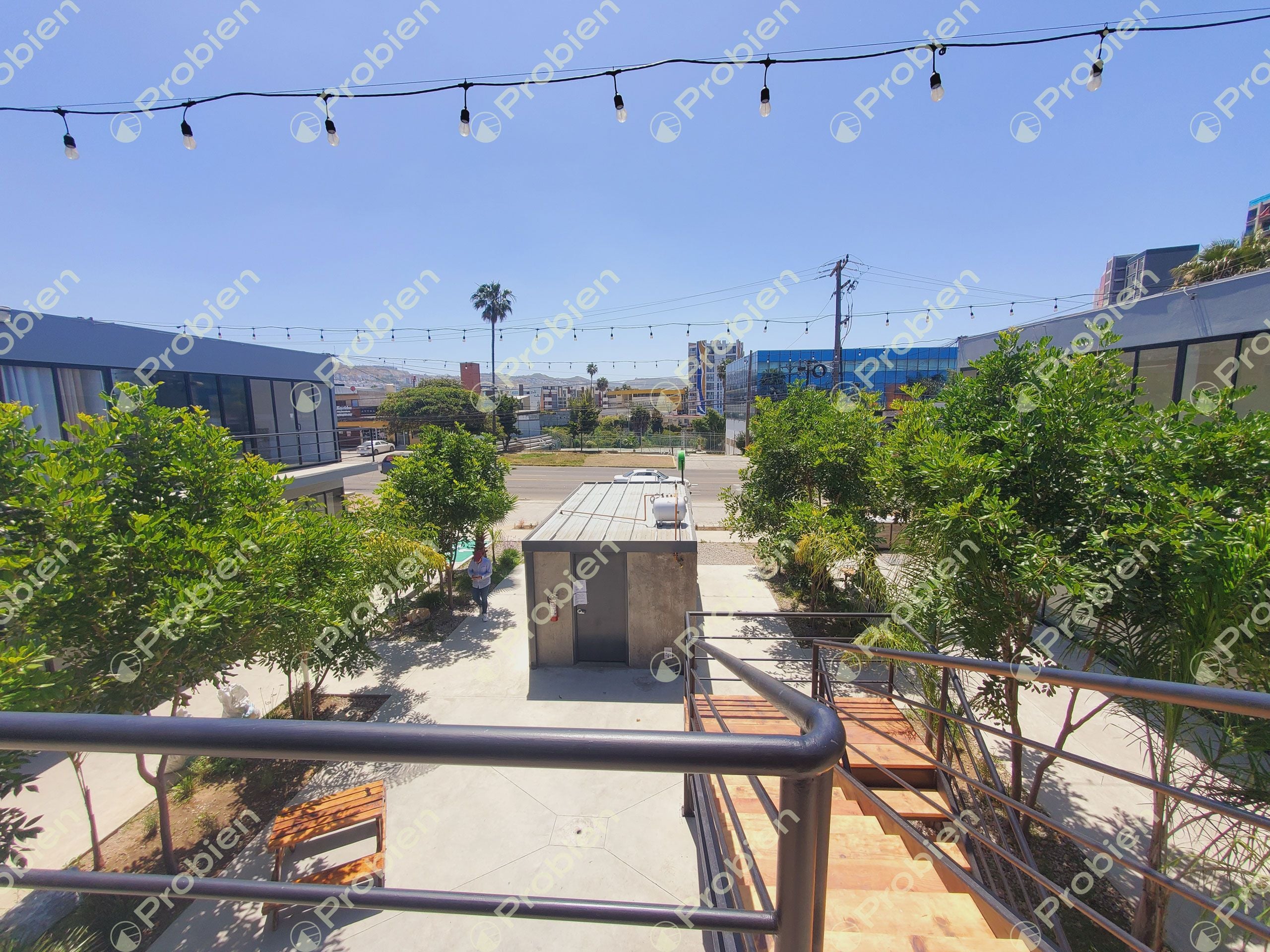 LOCALES EN RENTA - PLAZA PALMEYRAS PLAYAS DE TIJUANA - Foto 4 de 6