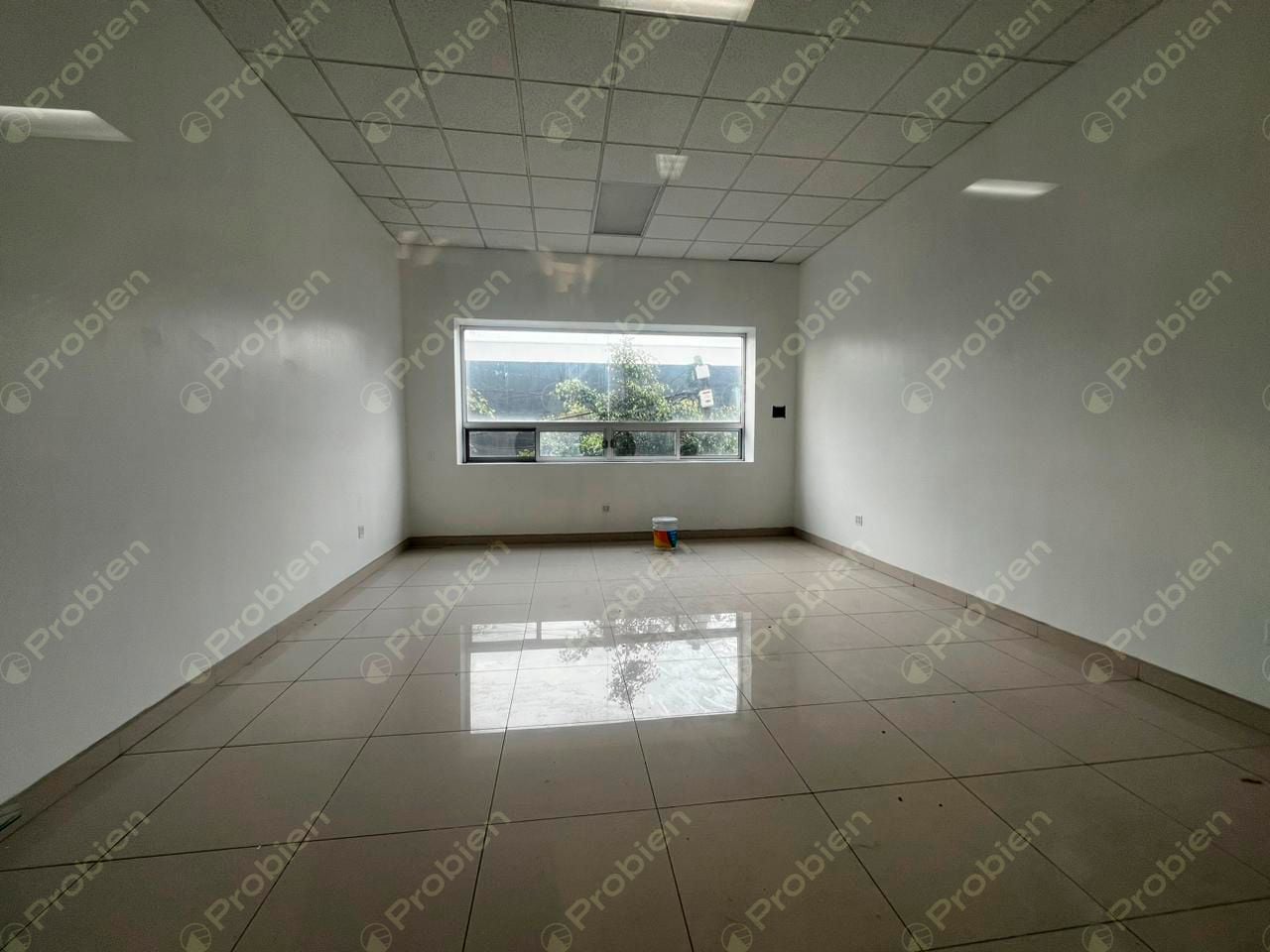 Locales en Renta - Centro Constitución - Foto 9 de 10