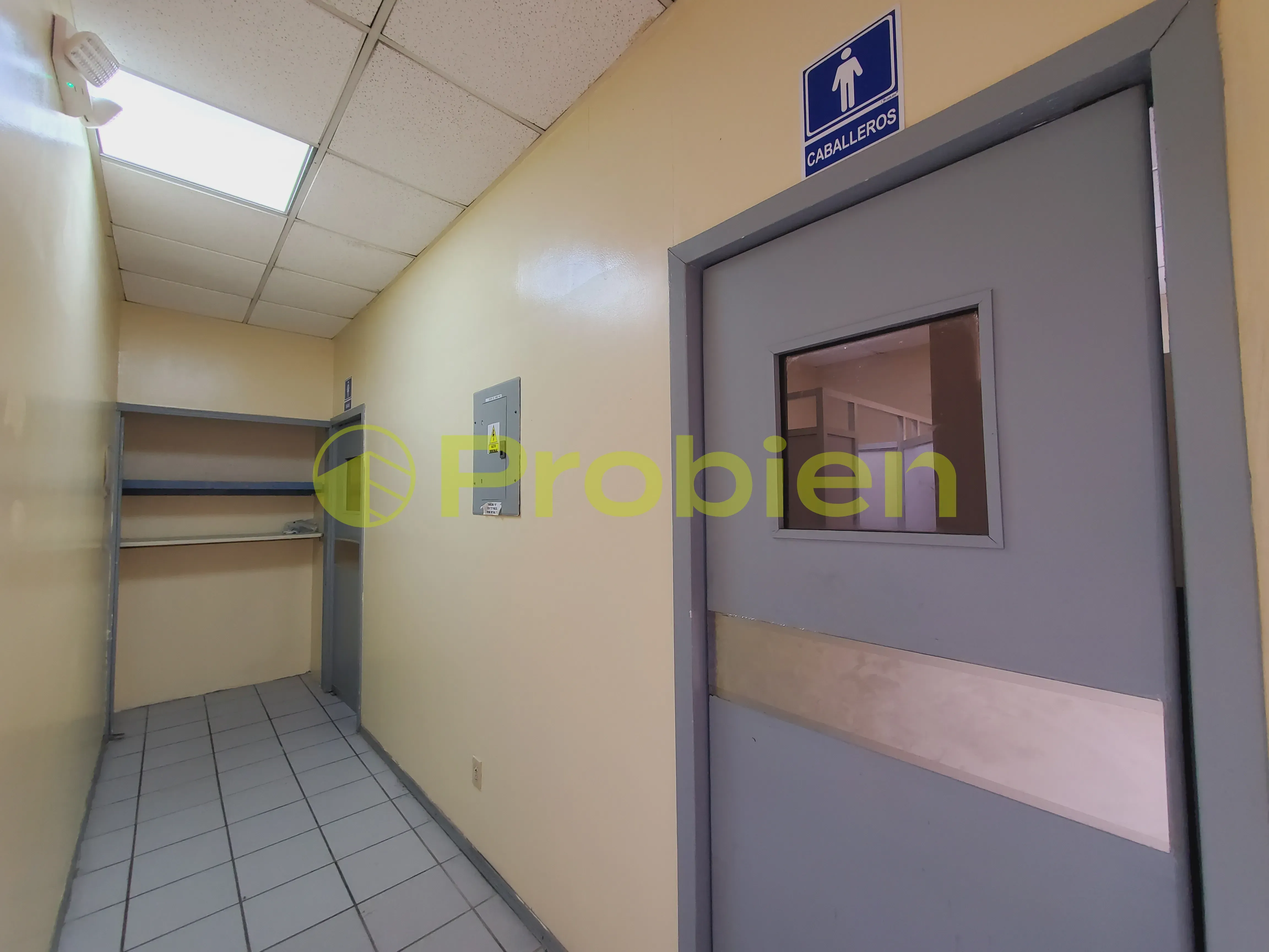 Bodegas en Renta - La Gloria - Foto 5 de 14