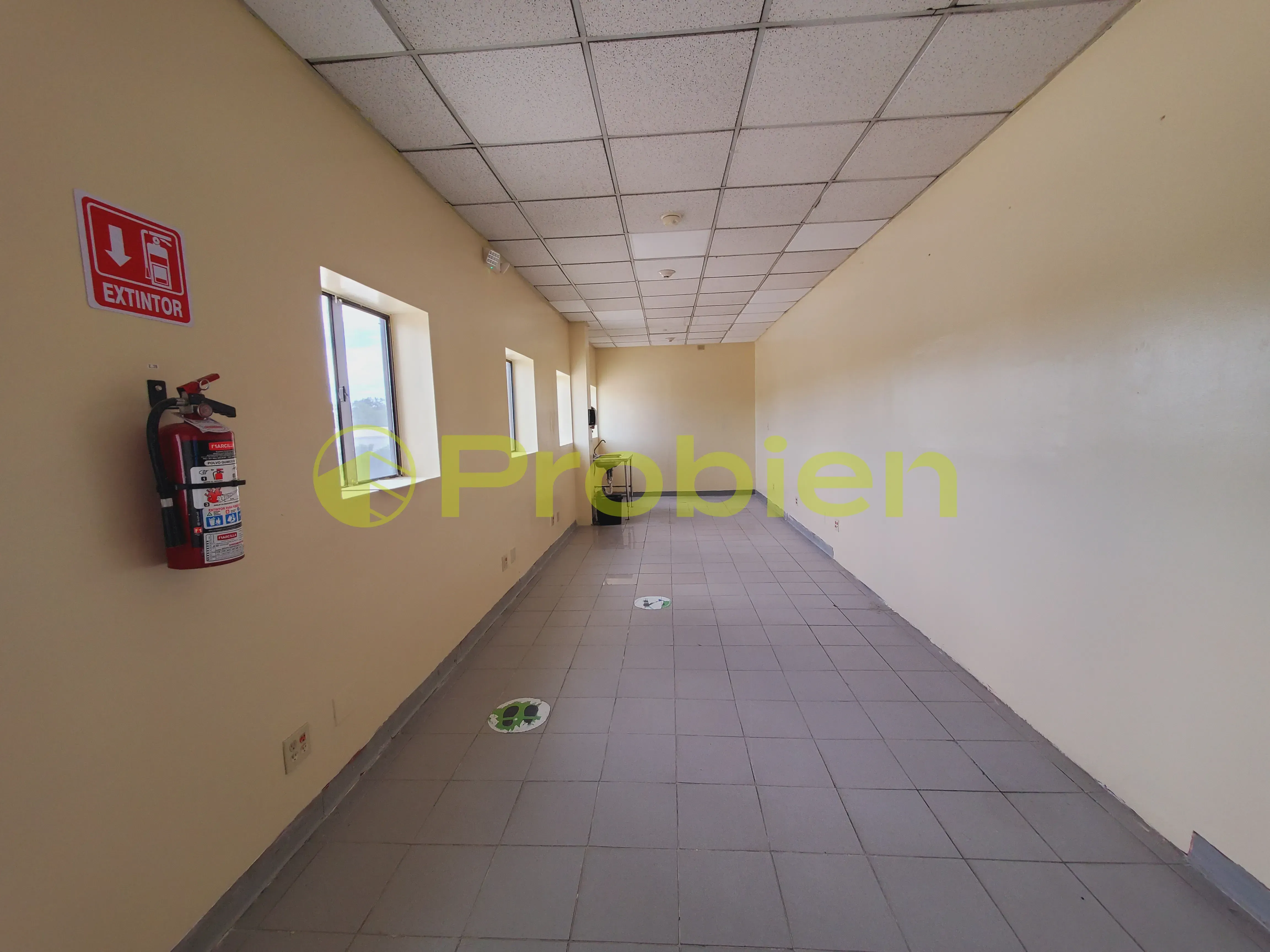 Bodegas en Renta - La Gloria - Foto 6 de 14