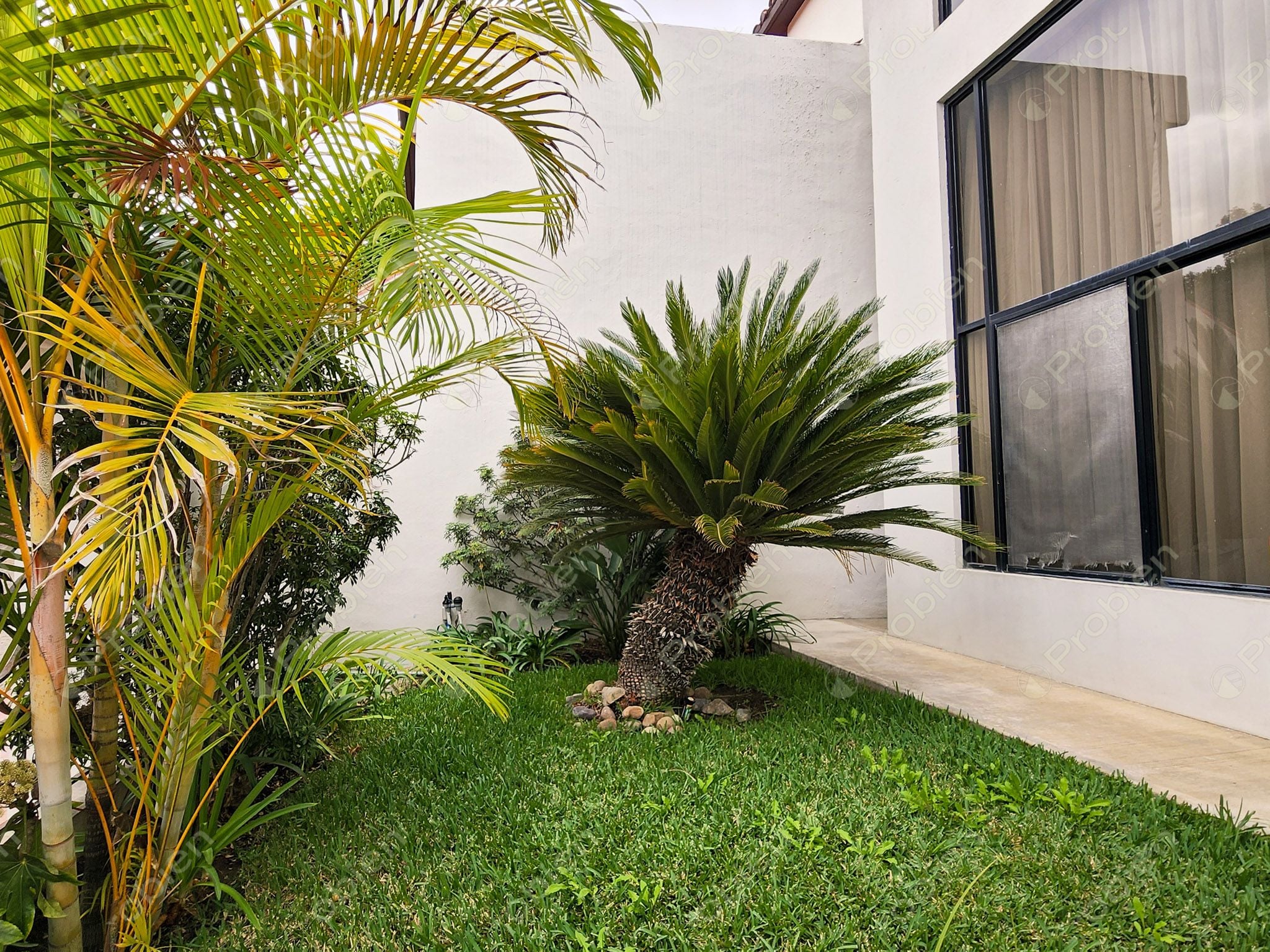 Estudio en Renta en Hacienda Agua Caliente – Zona Dorada de Tijuana - Foto 2 de 14