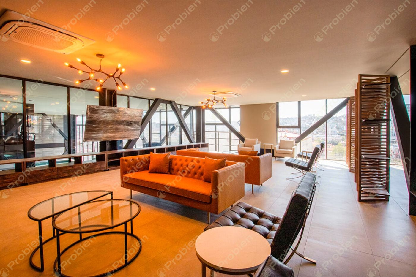 Departamento en Renta - Sie7e Zona Centro - Foto 13 de 13