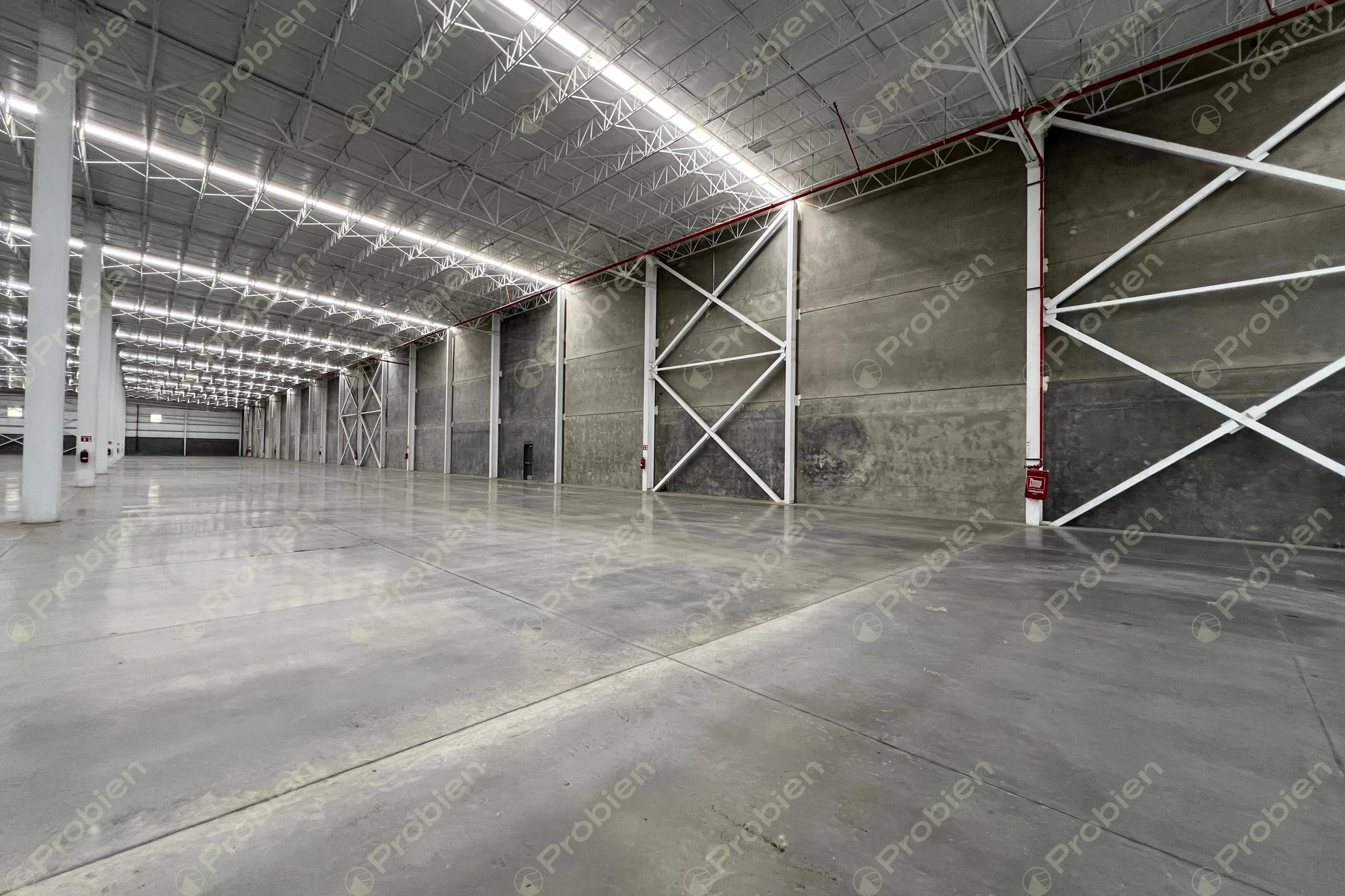 Nave Industrial en Renta - Industrial Pacifico - Foto 5 de 7