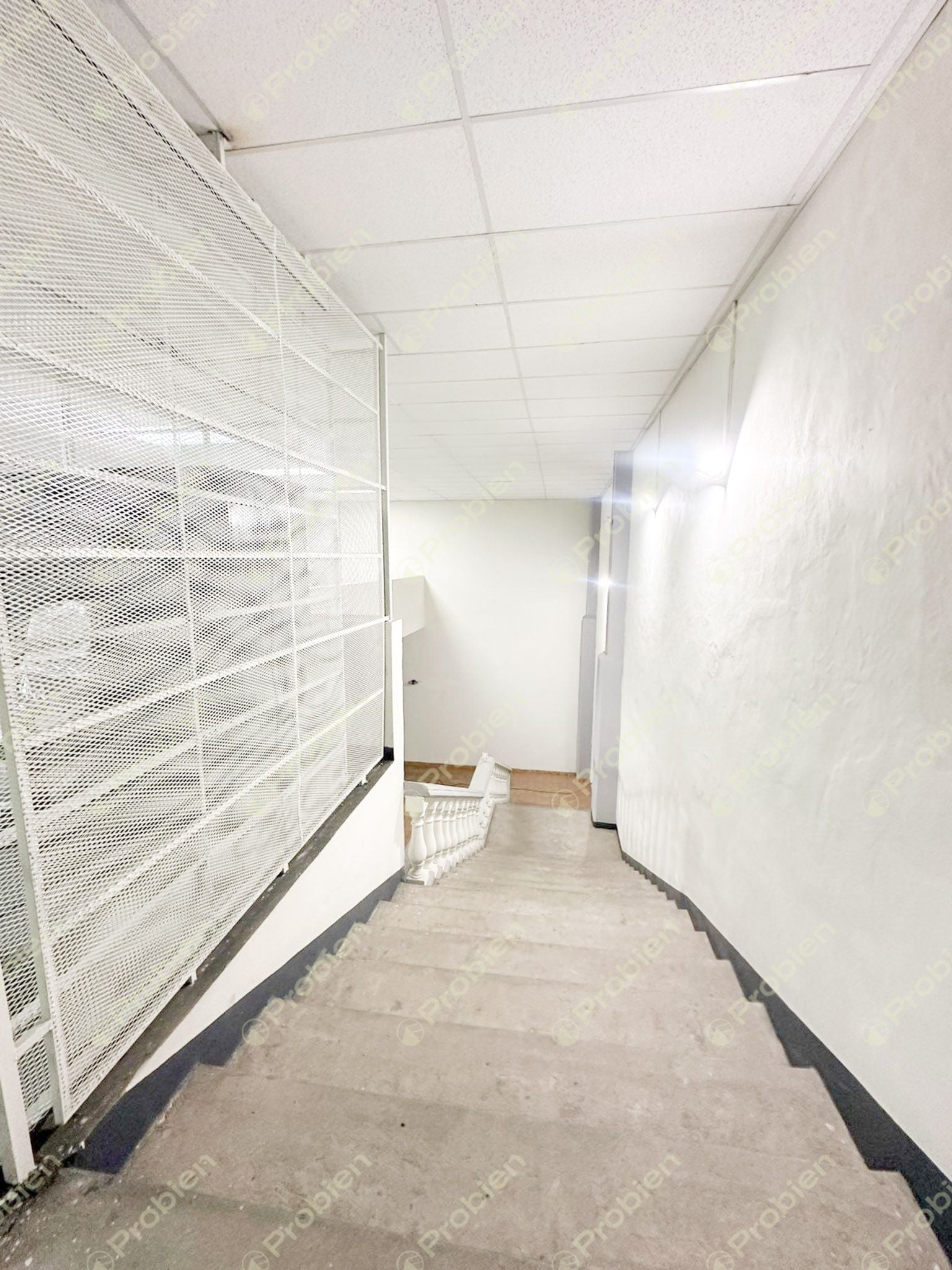 Local Comercial en Renta sobre Paseo Playas de Tijuana – Alta Visibilidad y 1,200 m² - Foto 9 de 19