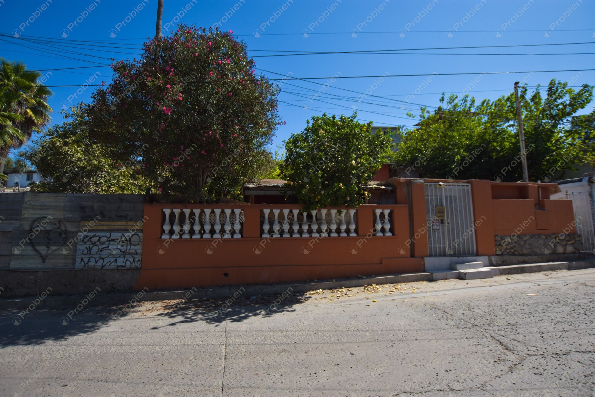 Terreno en Esquina en Venta en Colonia Ciudad Jardín – 264 m² con Gran Potencial - Foto 16 de 16