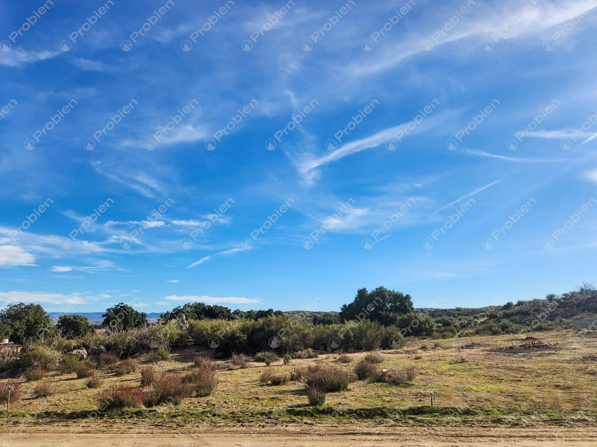 Terreno en Venta - 1000m² en El Encinal Ideal para casa de Campo - Foto 6 de 11