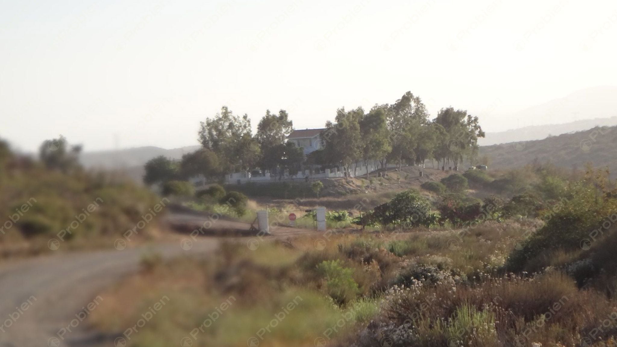 Rancho El Ronco en Venta – 3 Hectáreas a 30 Min de Ensenada, Ideal para Viñedo - Foto 13 de 16