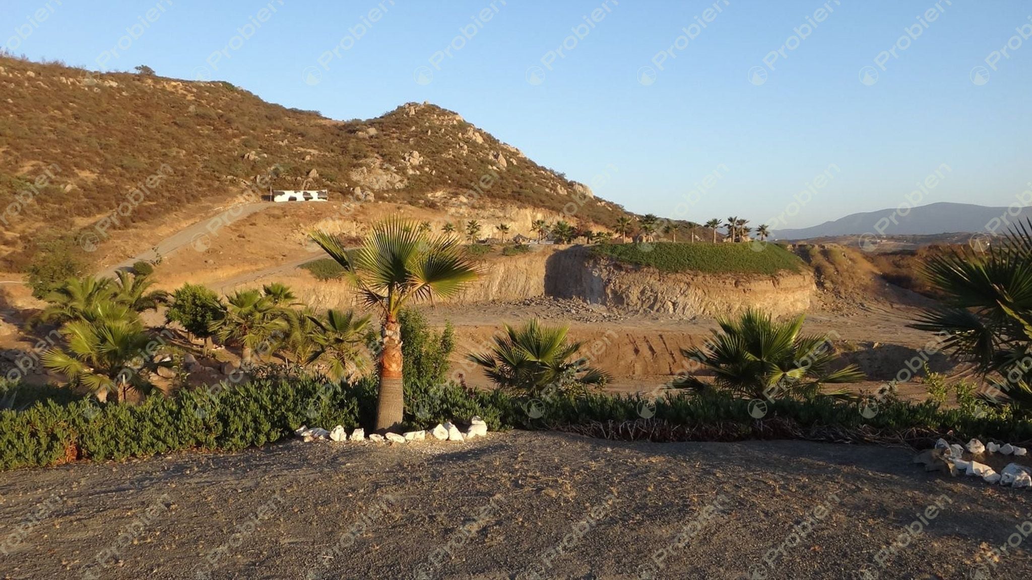 Rancho El Ronco en Venta – 3 Hectáreas a 30 Min de Ensenada, Ideal para Viñedo - Foto 14 de 16