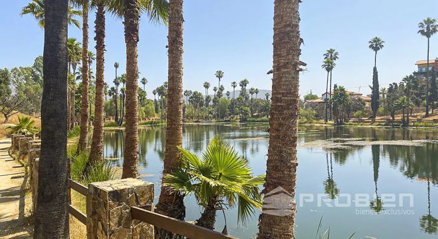 Terreno Residencial en Venta - Rancho Tecate - Foto 7 de 7