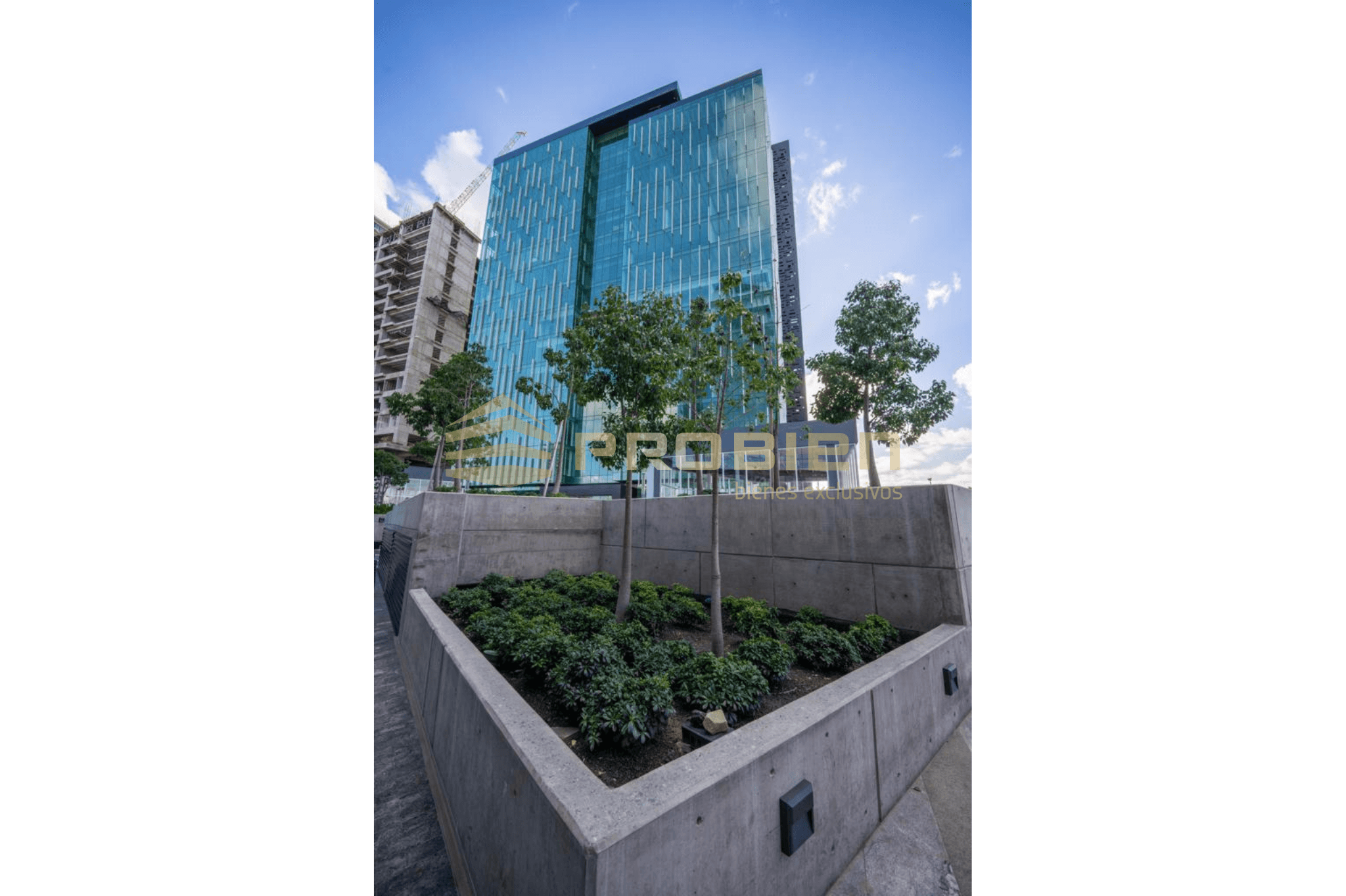 Oficinas en Venta - Central Toreo - Foto 2 de 7