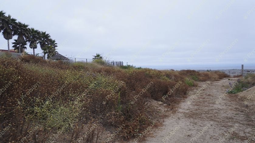 Terreno Comercial en Venta - Rosarito Los Arenales - Foto 14 de 19