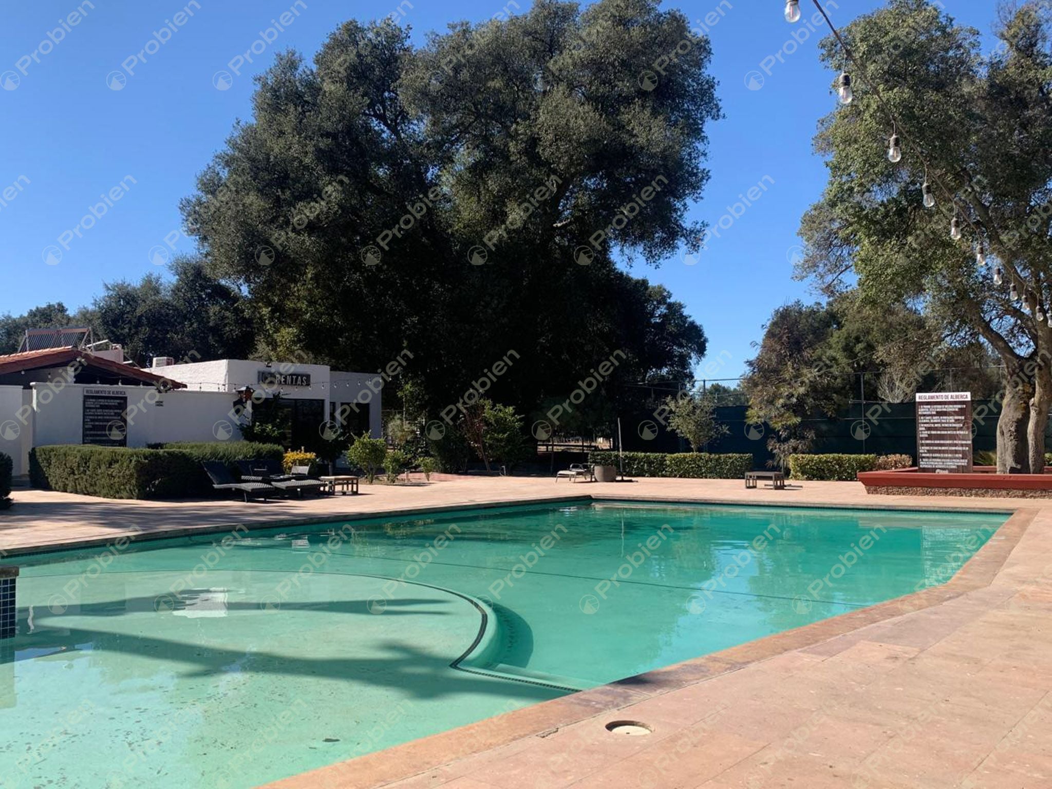 Terreno en Venta en Rancho Santa Verónica – 3,357 m² de Naturaleza y Tranquilidad - Foto 9 de 10