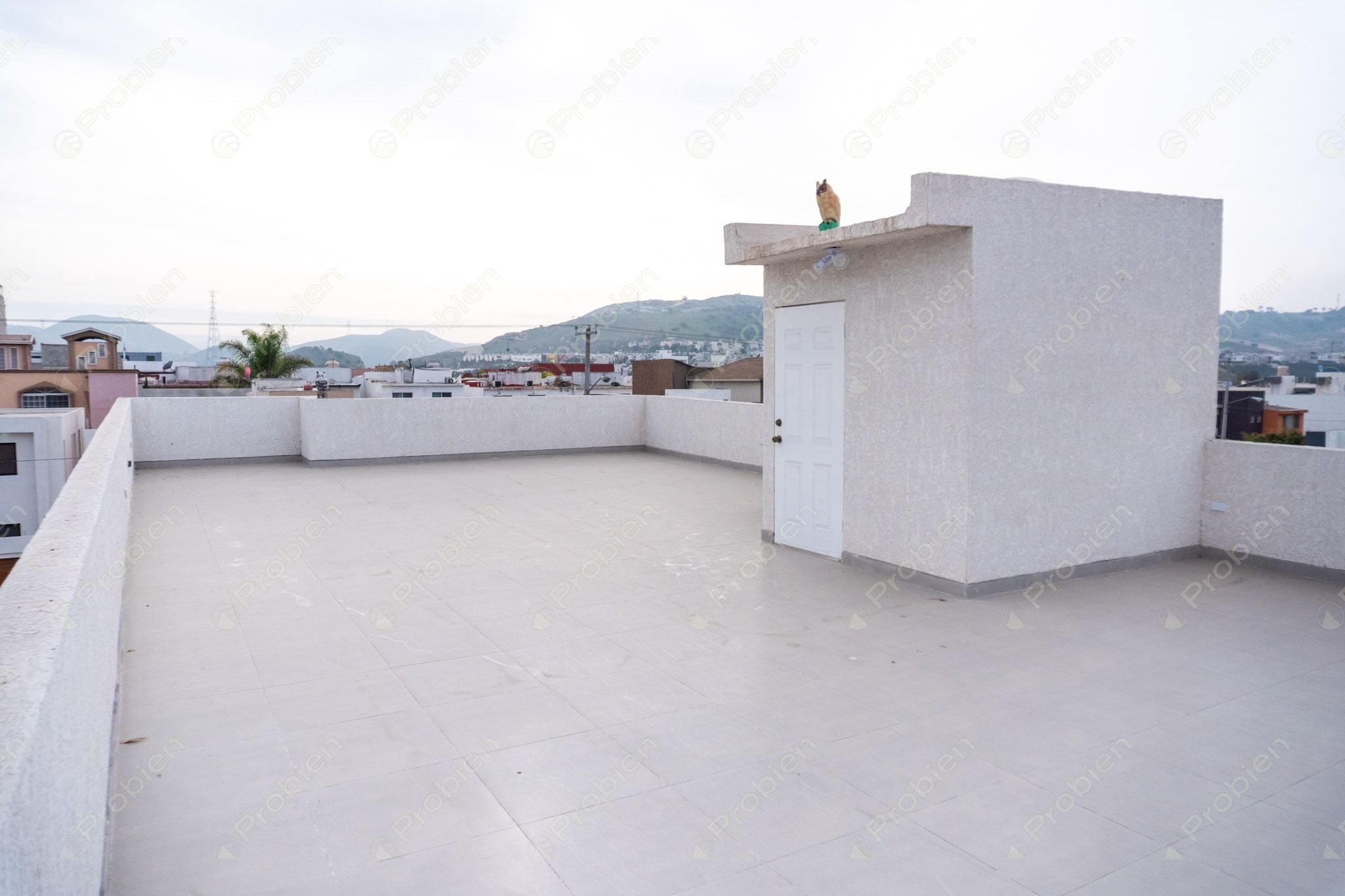 Casa en venta de 4 recámaras y 3 niveles en Terrazas de la Presa - Foto 51 de 54