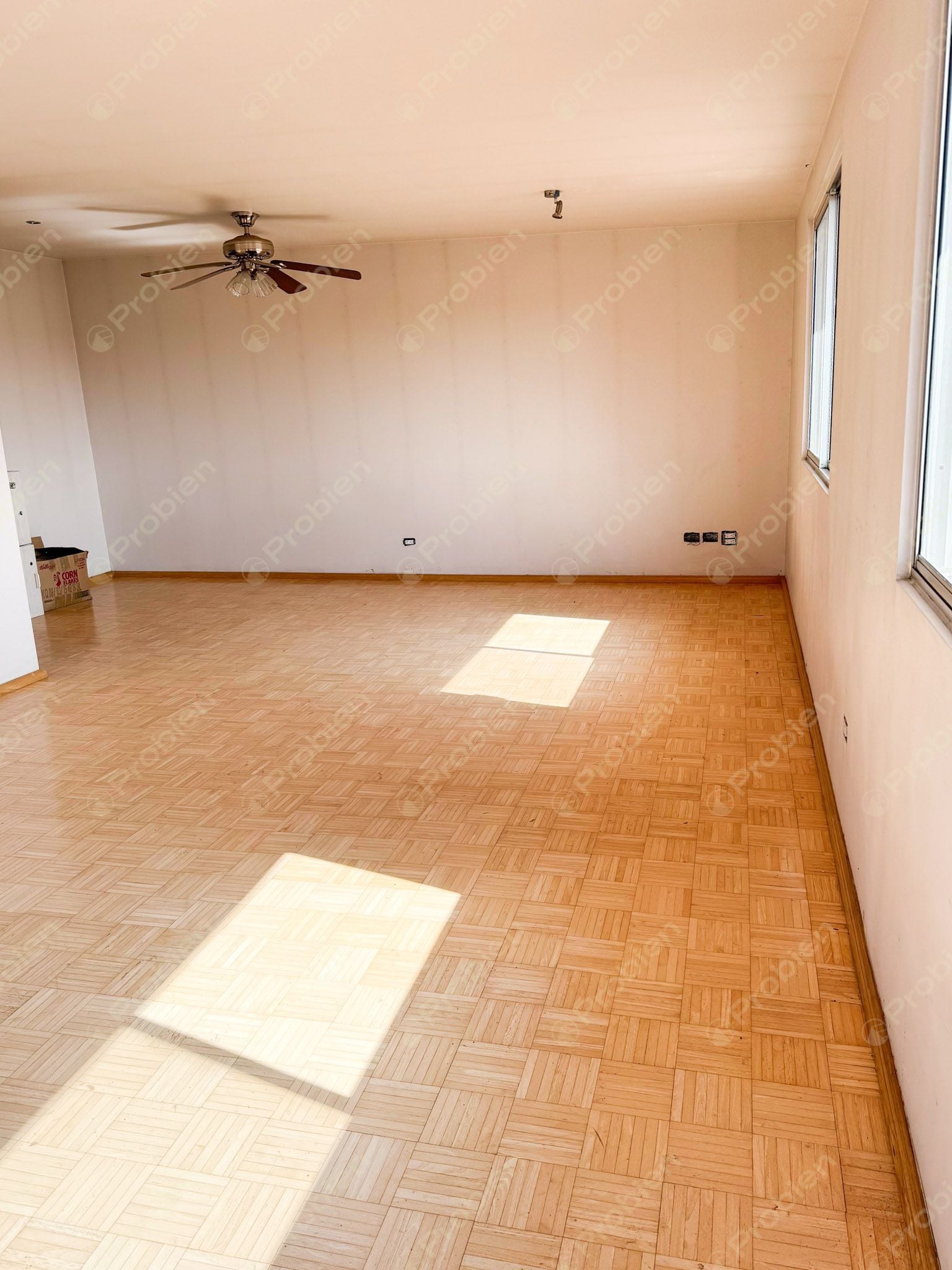 Edificio en Venta en Zona Centro de Tijuana – 8 Consultorios, Estacionamiento y Penthouse - Foto 7 de 18