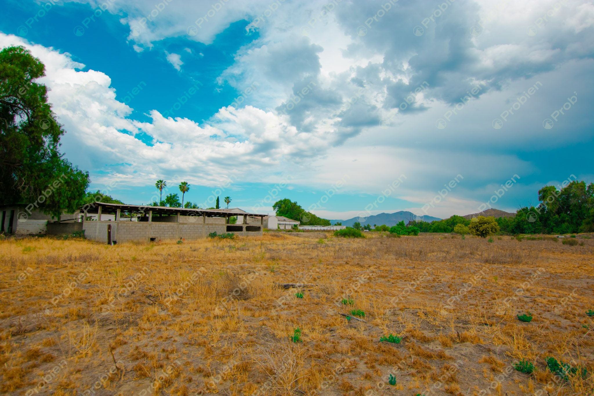 Terreno en Venta en Valle de las Palmas, Tecate – A Pie de Carretera con Potencial Industrial y Habitacional - Foto 10 de 13