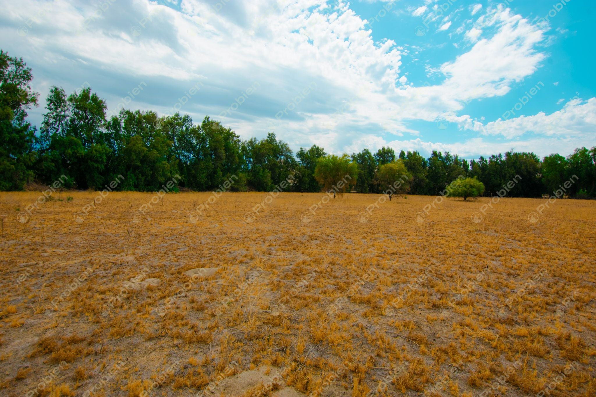 Terreno en Venta en Valle de las Palmas, Tecate – A Pie de Carretera con Potencial Industrial y Habitacional - Foto 11 de 13