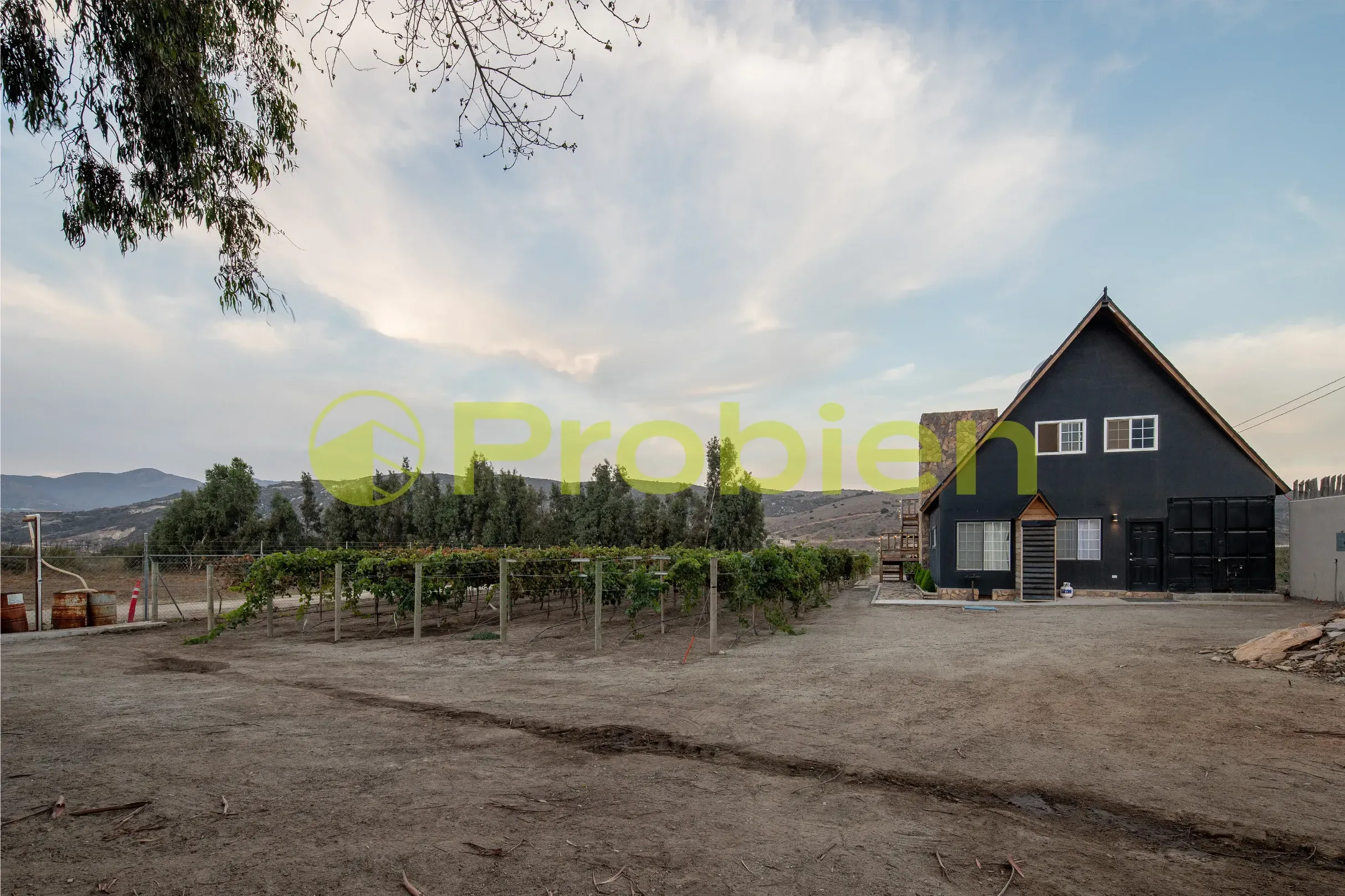 Viñedo Avilas en Venta - Ensenada - Foto 10 de 17