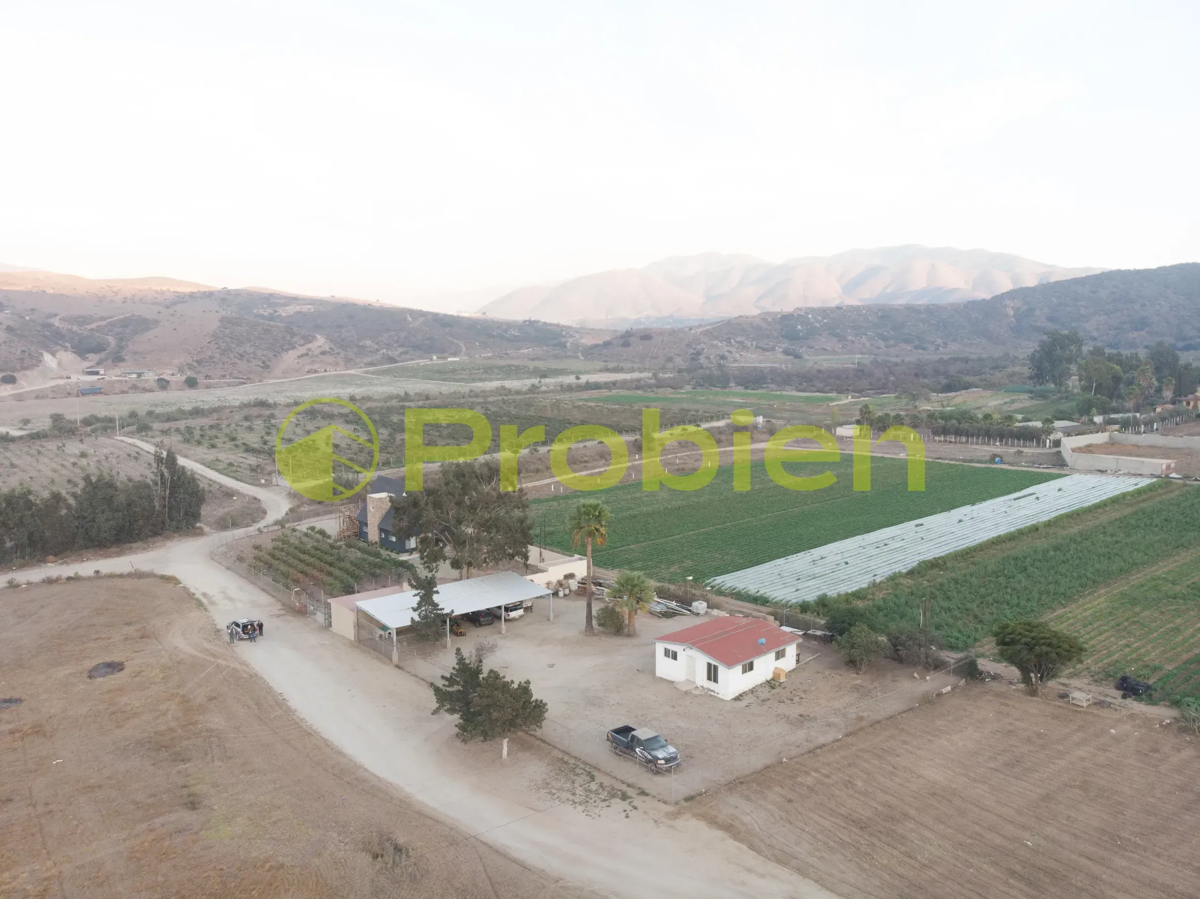 Viñedo Avilas en Venta - Ensenada - Foto 4 de 17