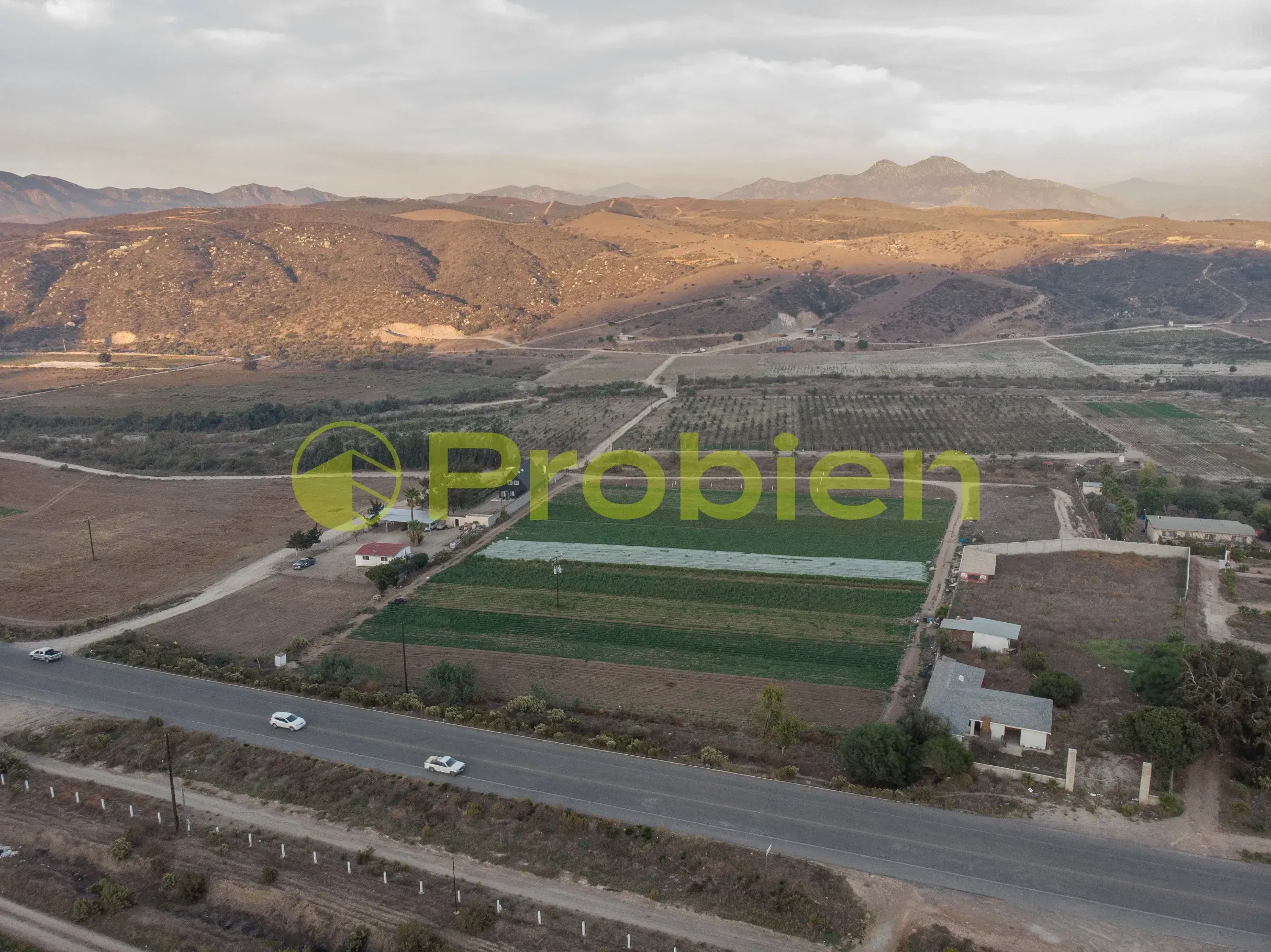 Viñedo Avilas en Venta - Ensenada - Foto 7 de 17