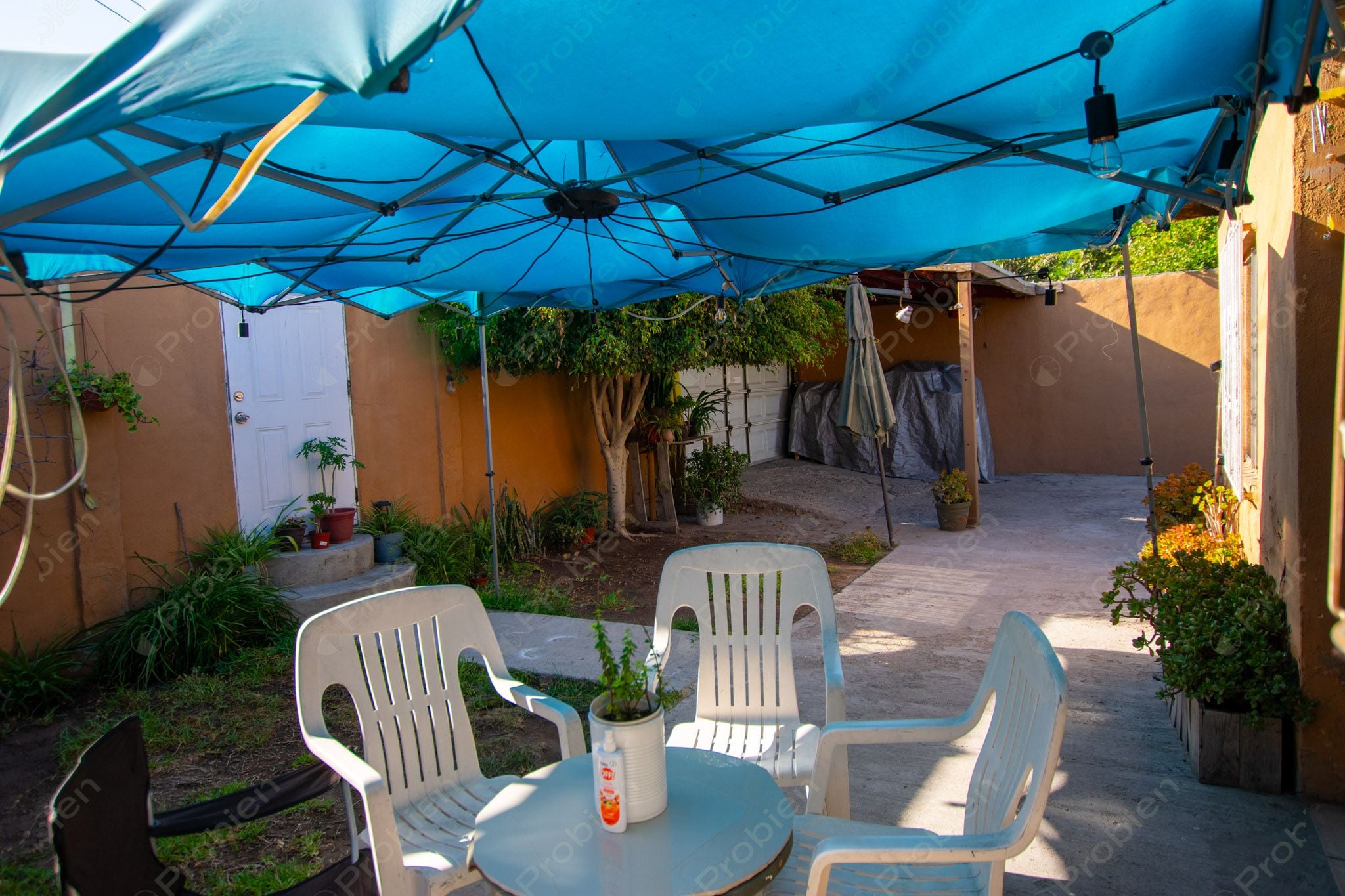 Terreno con Construcción en Venta en Col. Los Pinos de Narez – 392 m² con Gran Potencial - Foto 6 de 16