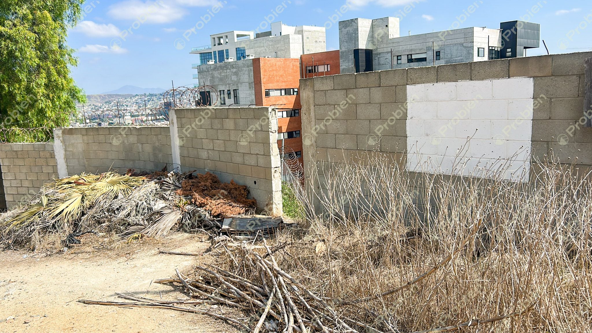 Terreno en Venta en Colonia Cacho – 245 m² Ideal para Residencia o Torre de Departamentos - Foto 4 de 4