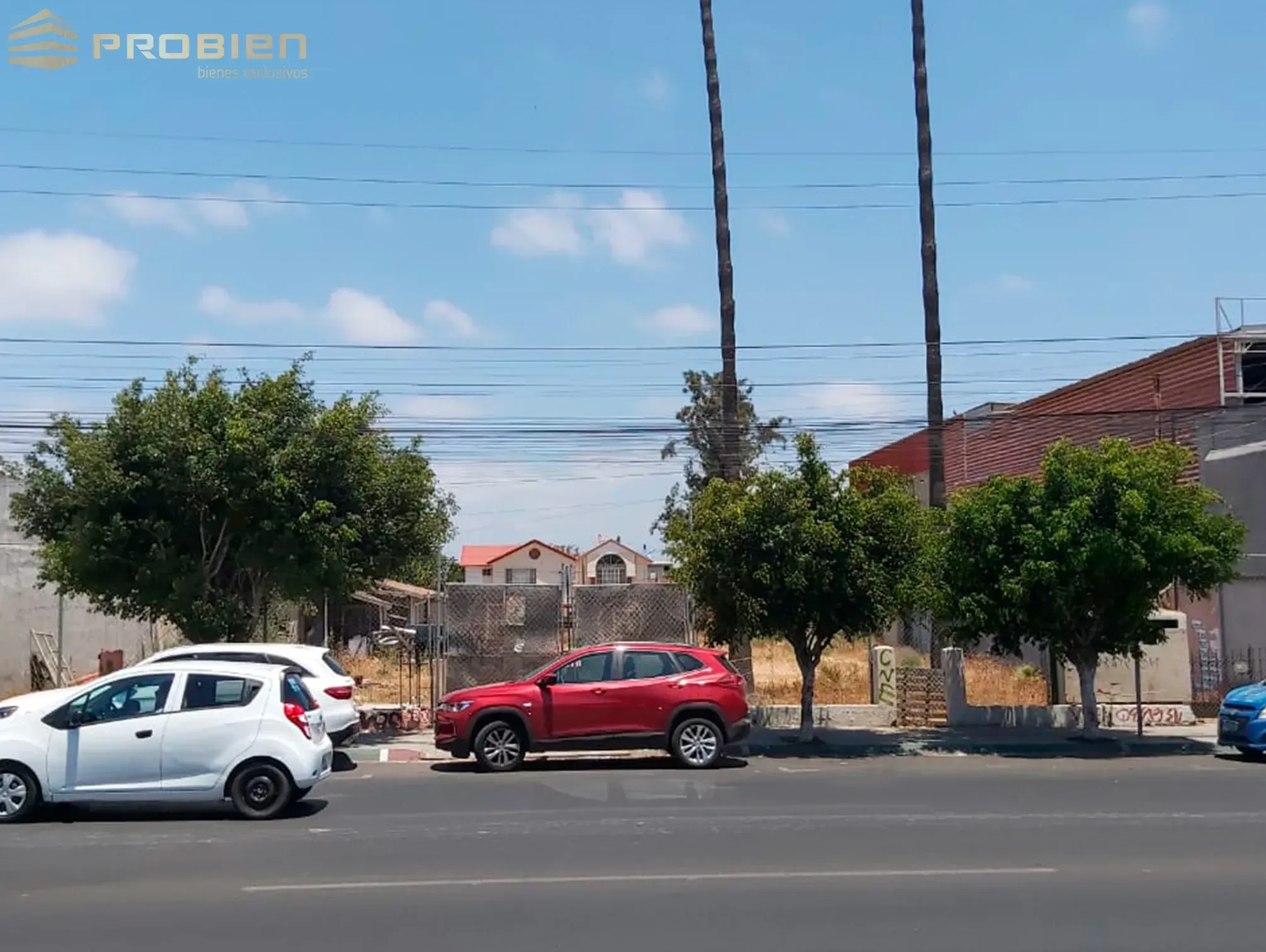 Terreno para Desarrollo en Venta - Zona centro - Foto 7 de 7