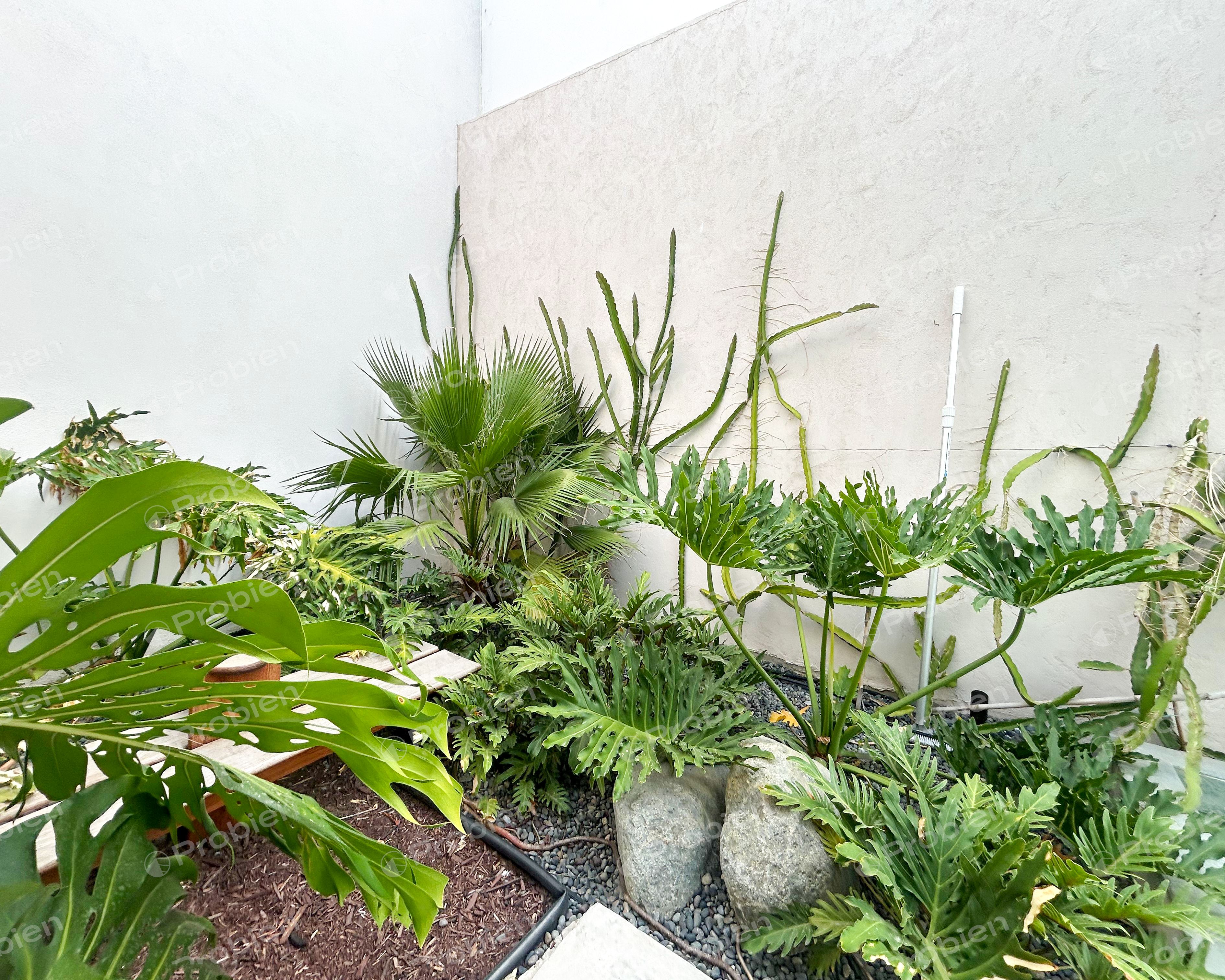 Residencia de Lujo en Venta en Hacienda Agua Caliente | 4 Recámaras con Baño Privado, Porcelanosa y Excelentes Acabados - Foto 6 de 13