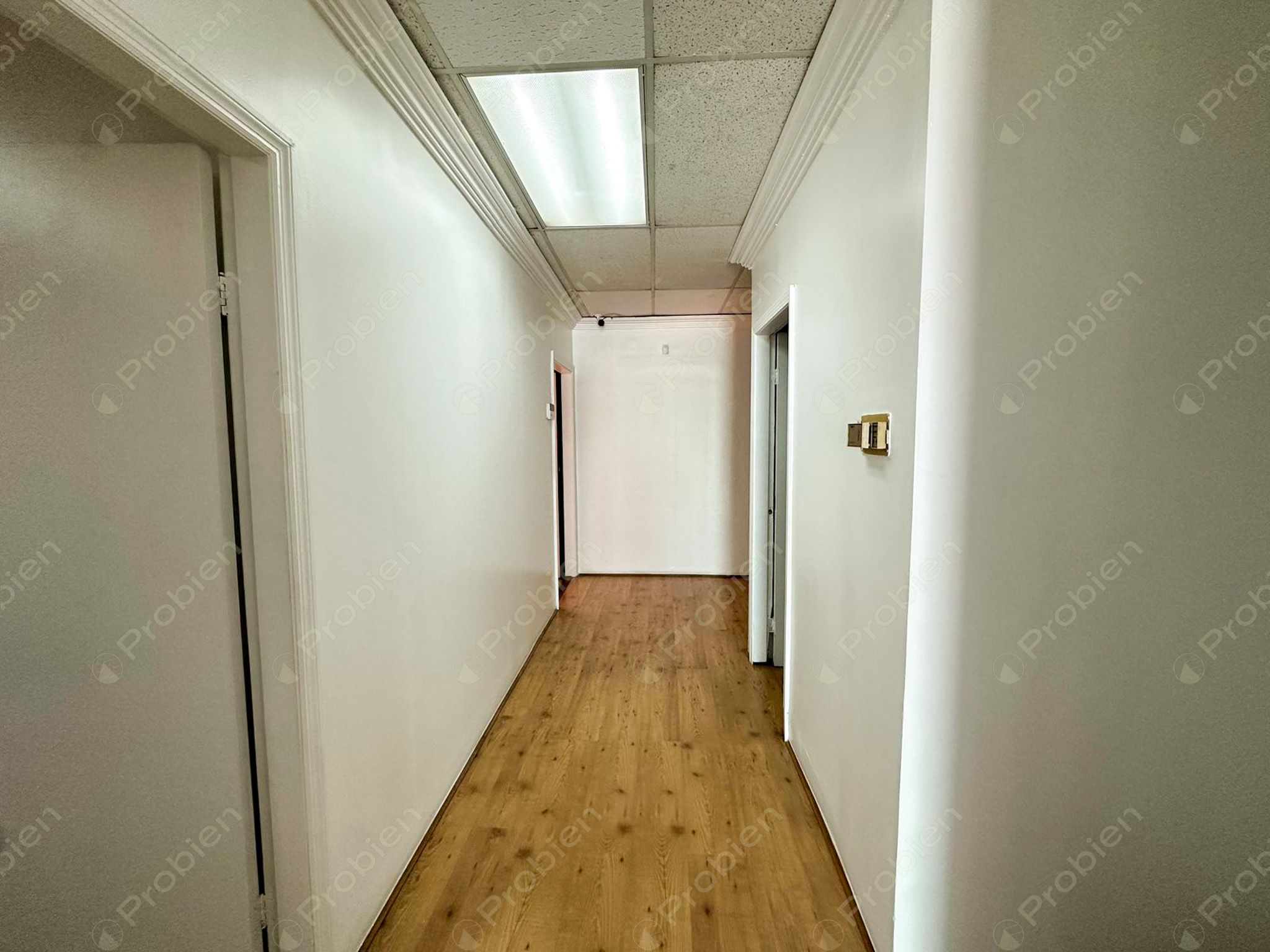 Oficina penthouse en Renta en Zona Río - Ubicación Estratégica cerca de Paseo de los Héroes con vista a la ciudad - Foto 16 de 24