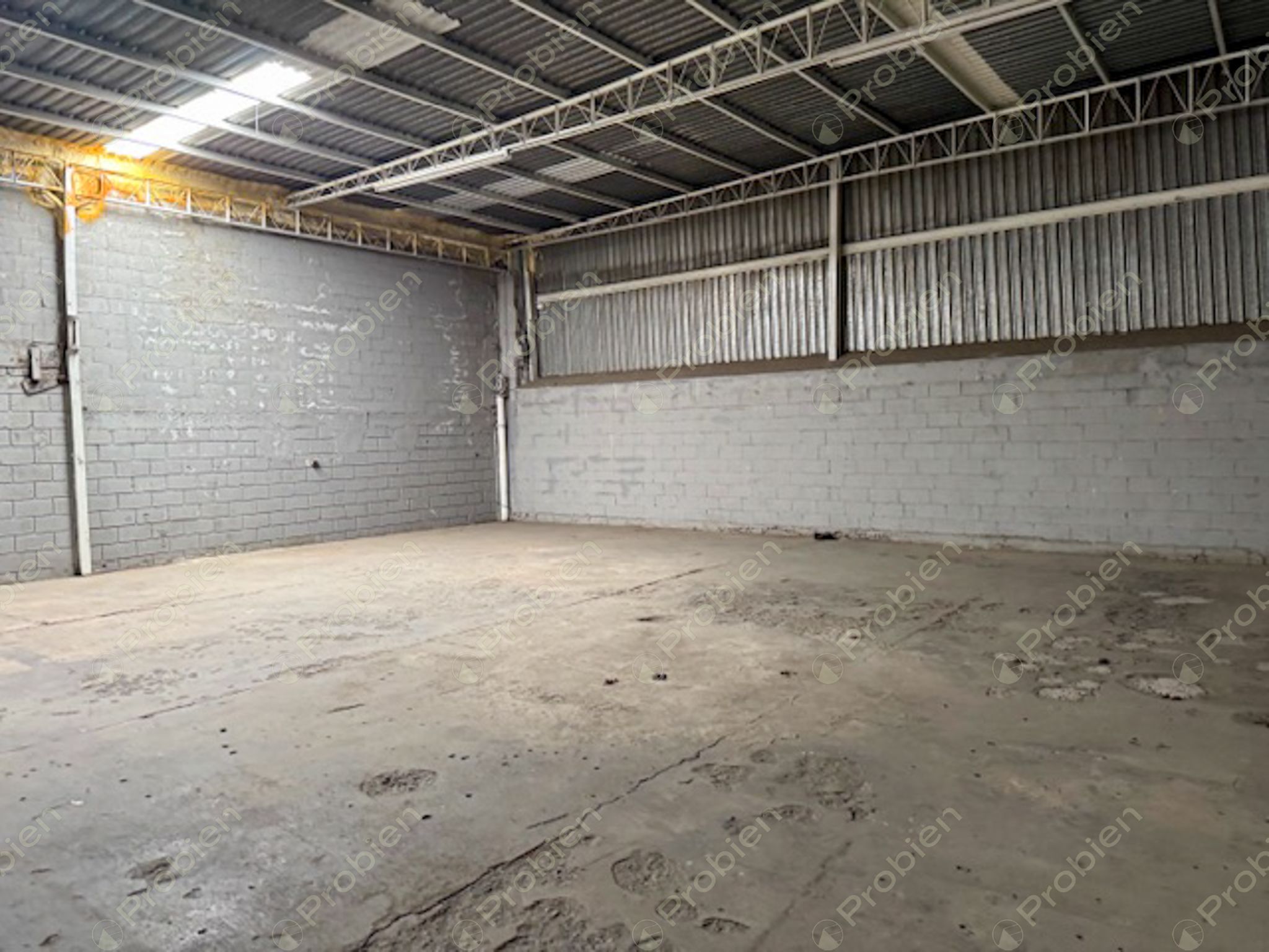 Bodega en Renta de 1,900 m² entre Vía Rápida y Blvd. Benítez - Foto 10 de 11