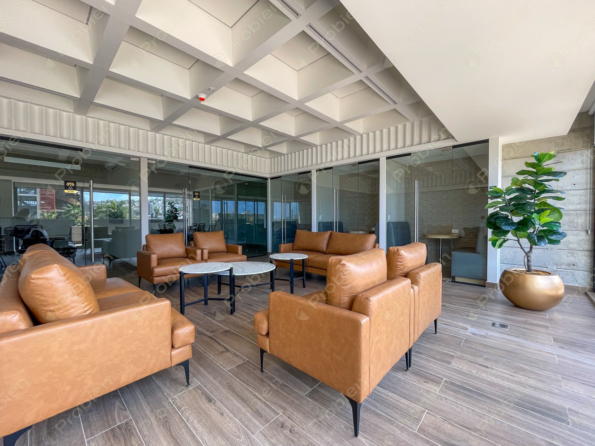 Departamento en Venta en The Park - Blvd. Agua Caliente - Foto 21 de 28