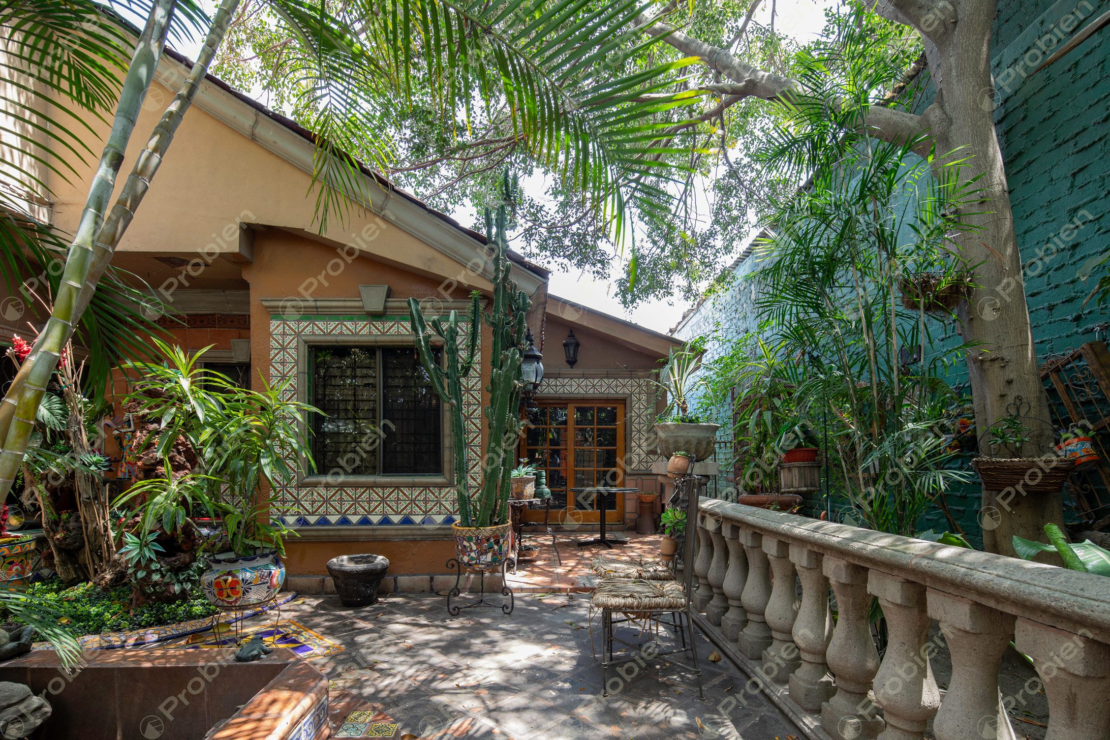 Casa en Renta - Colonia Marron  - Foto 11 de 12