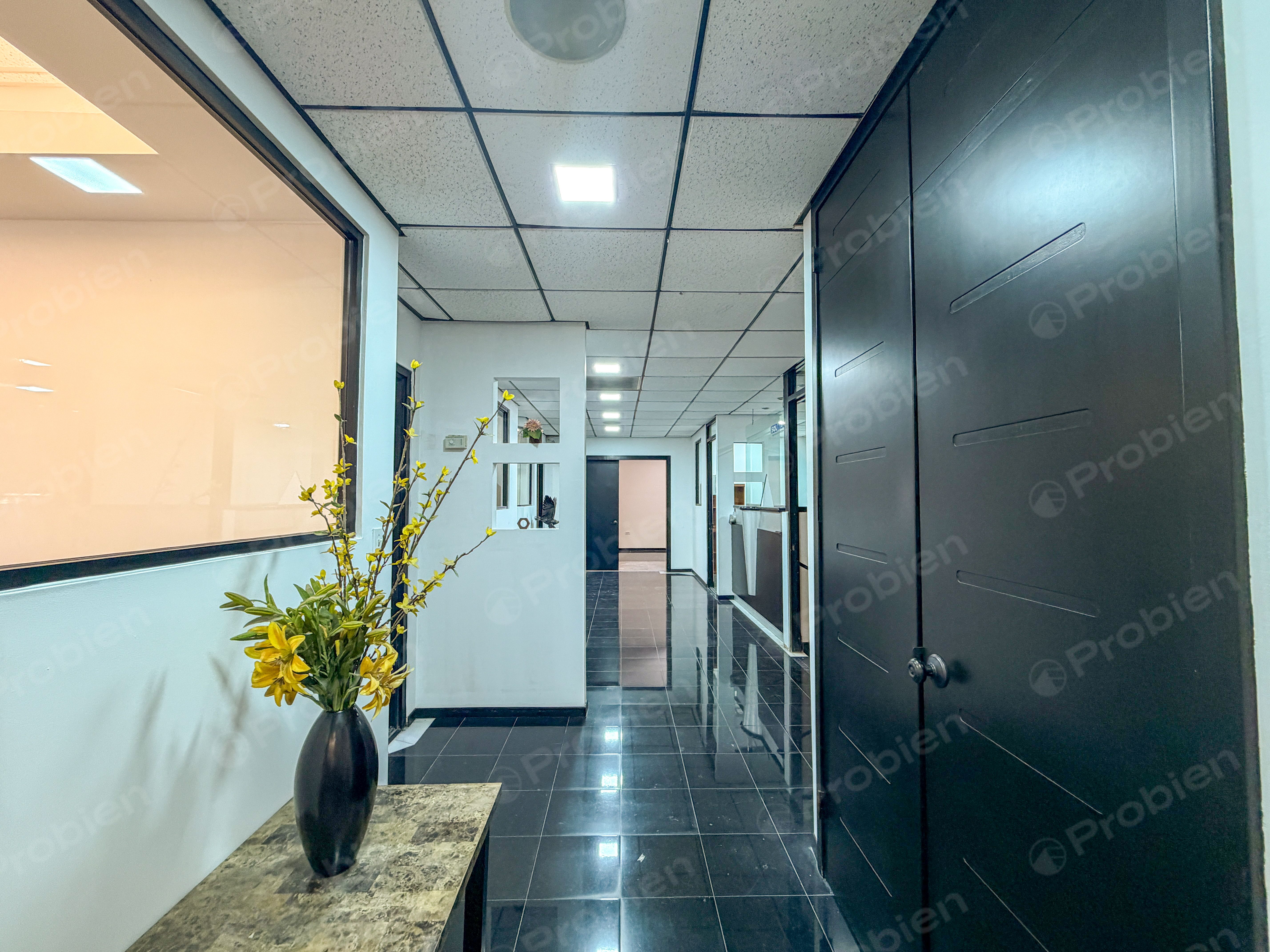 OFICINAS EN RENTA COLONIA 20 DE NOVIEMBRE - Foto 11 de 22