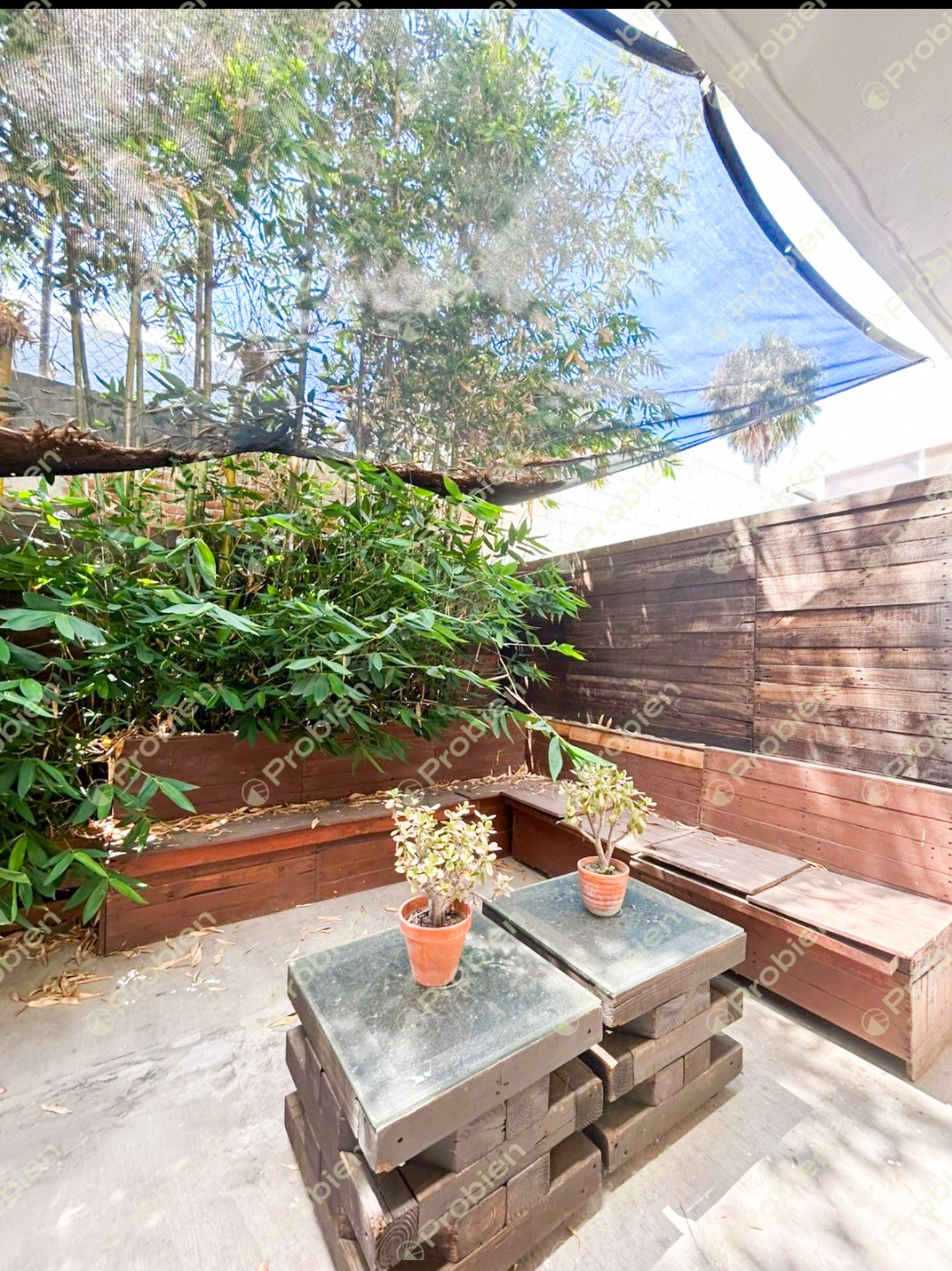 Casa en Venta en Playas de Tijuana – 3 Recámaras y 3 Estacionamientos - Foto 8 de 10