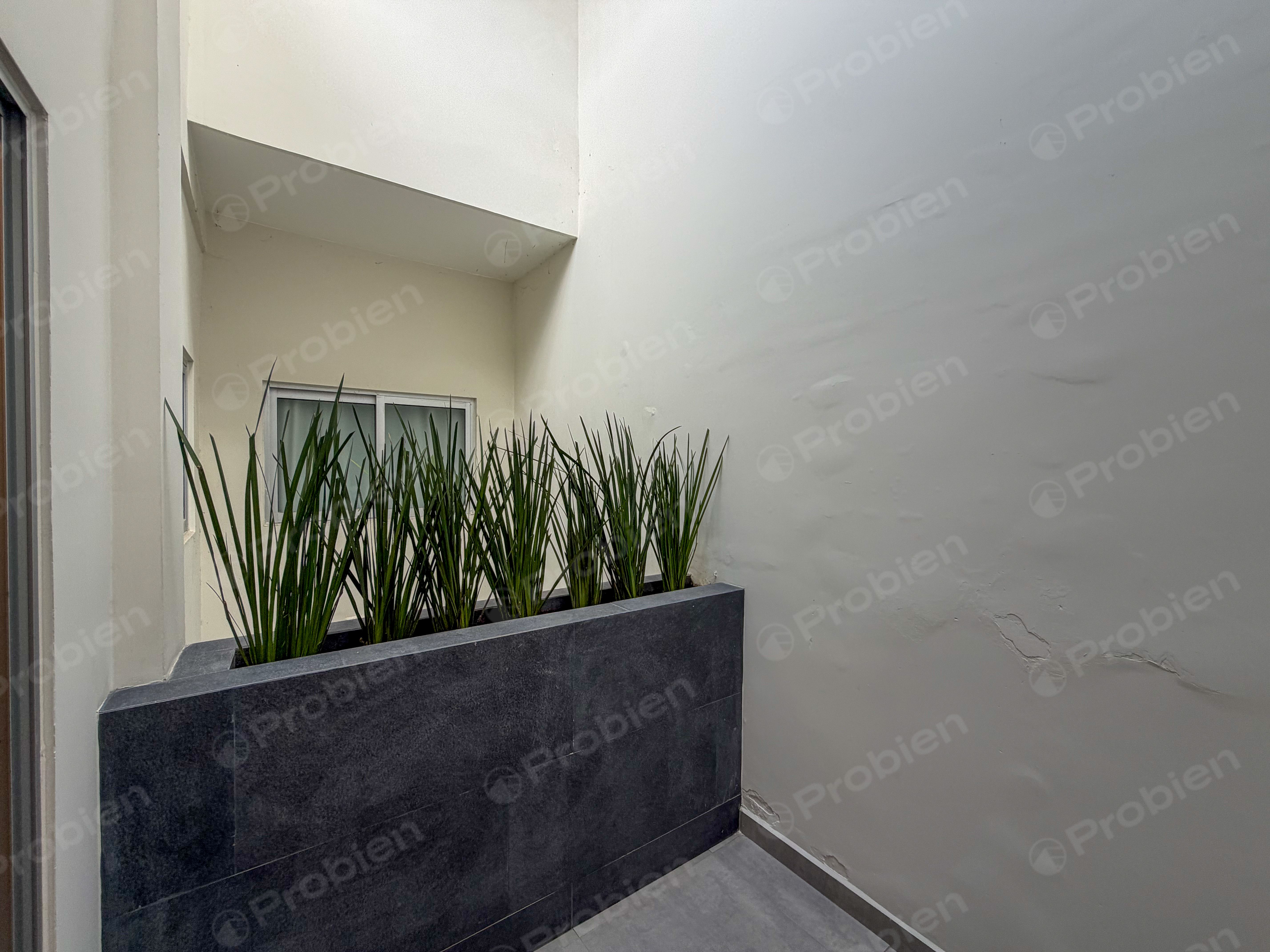 Departamento en Renta en Colonia Chapultepec, Tijuana | 2 Recámaras, 184 m² - Foto 18 de 20