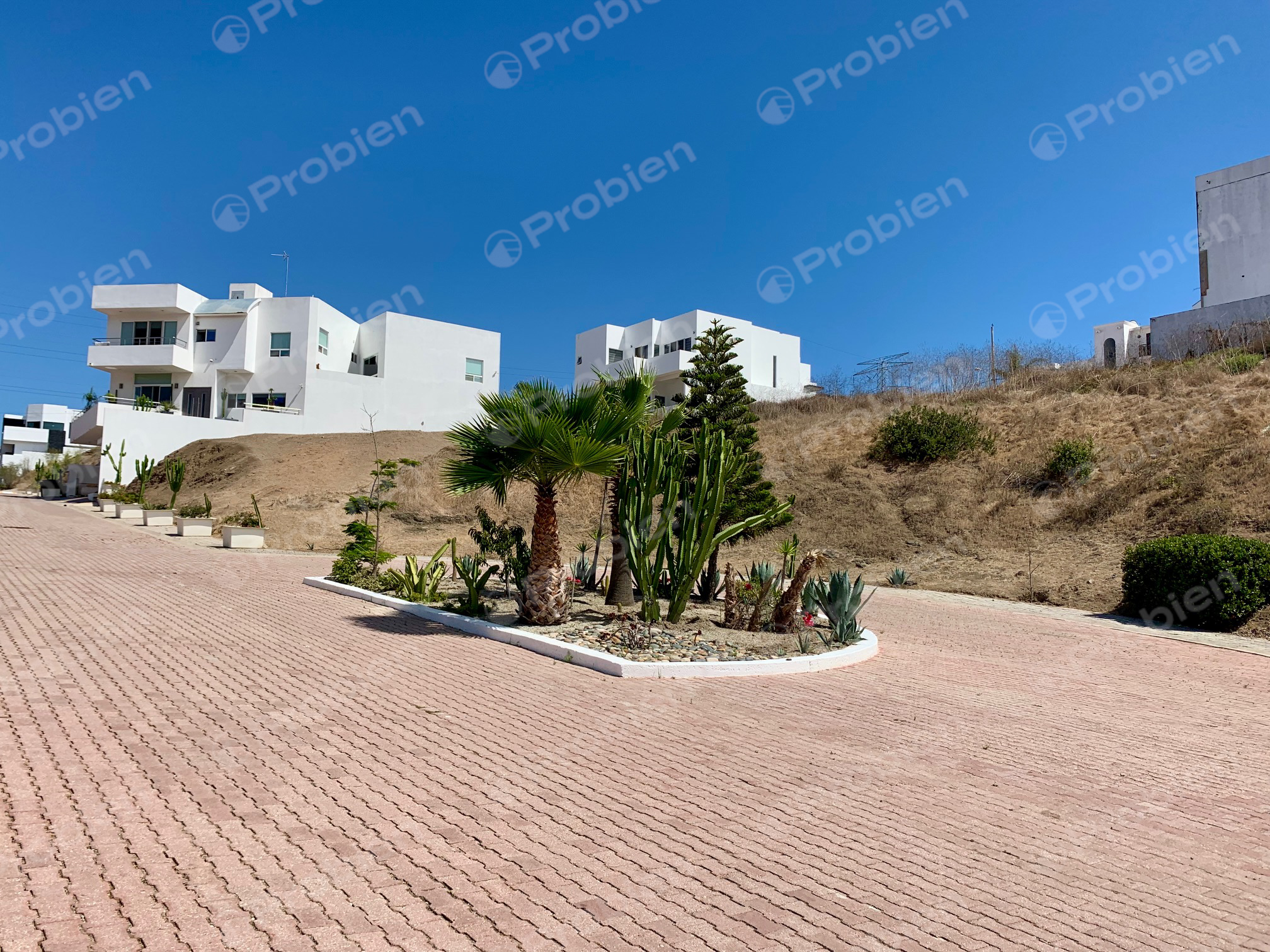 Terreno en Venta en Baja Malibú Lomas, Tijuana | 254 m² con Vista al Mar - Foto 3 de 6